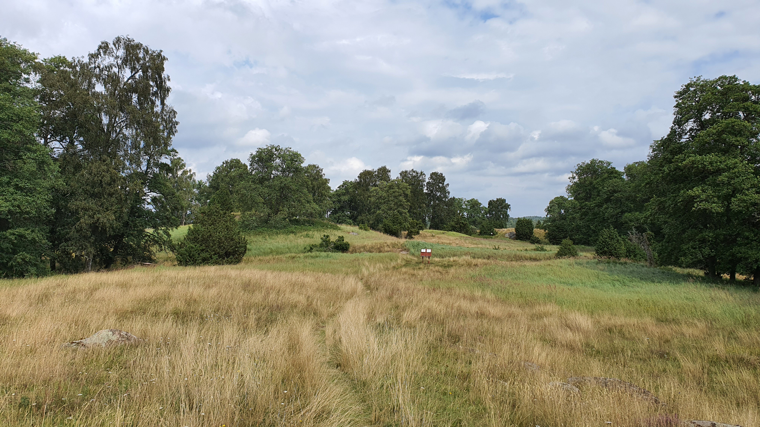 Vädersholm. Låga, små kullar med högt gräs och små träd-dungar.