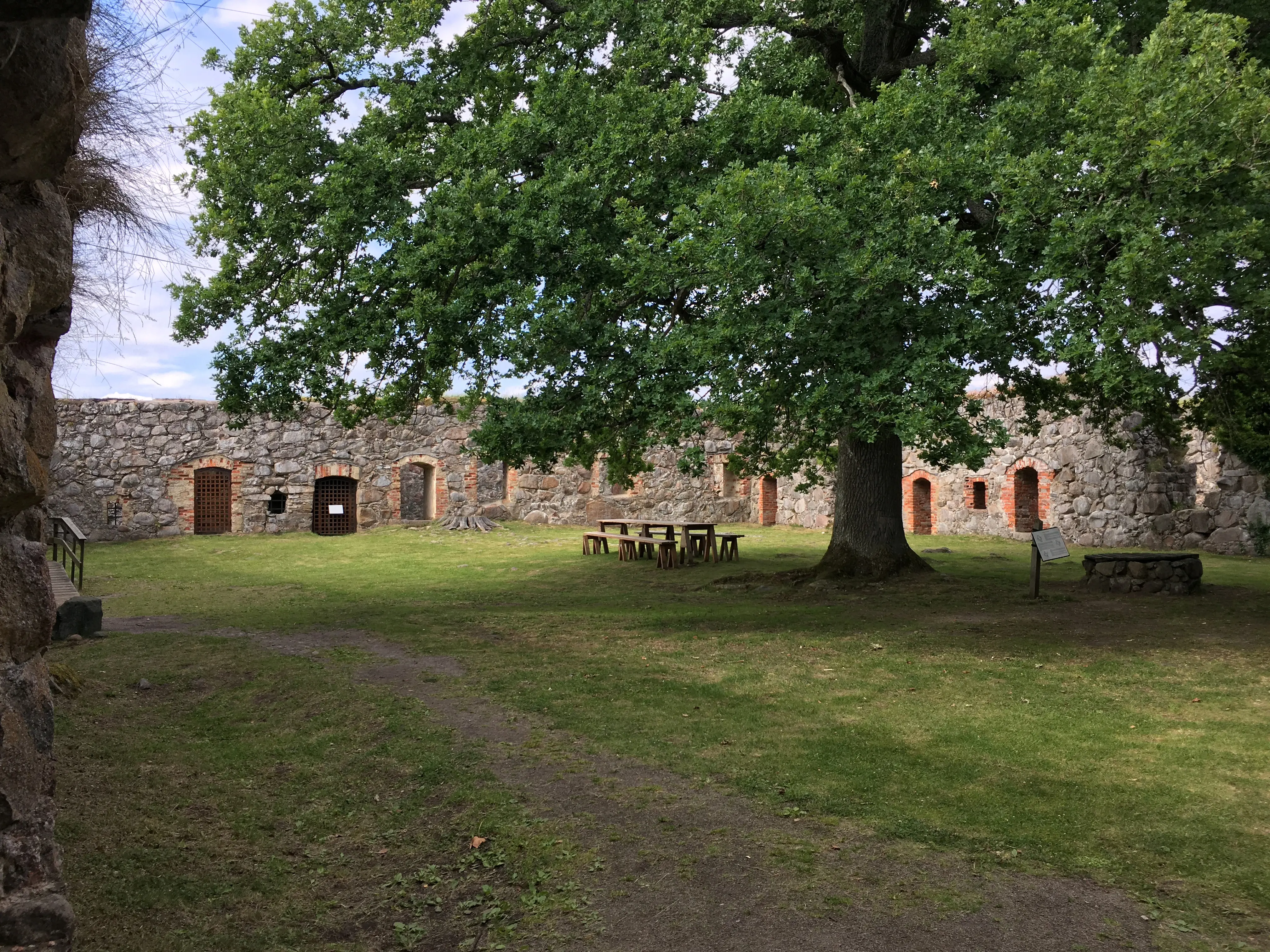 Kronobergs slottsruin. Borggården. Mitt på gården står ett stort träd. Under det står ett bord och bänkar.