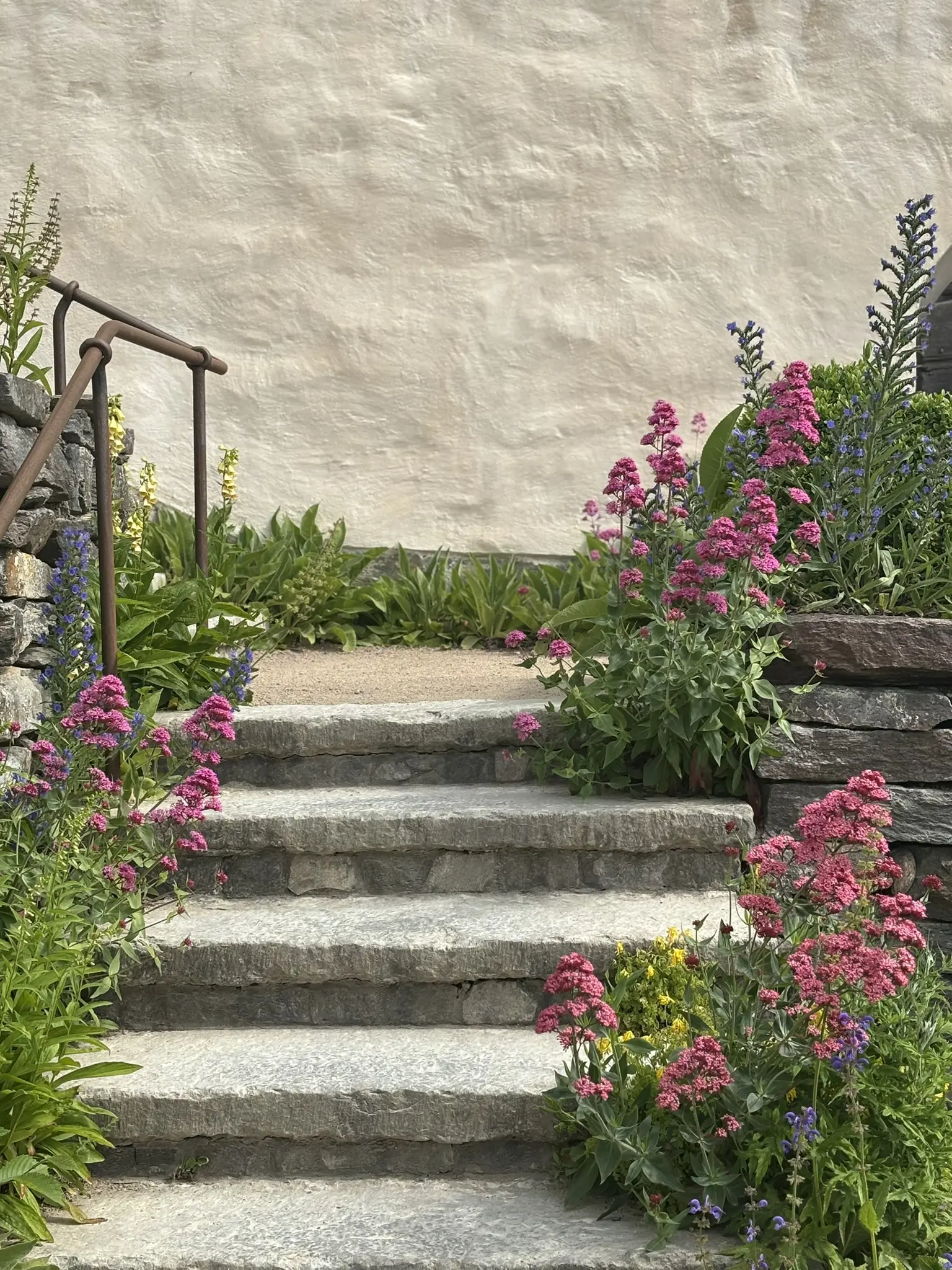 Stentrappa med blommor i olika färger.