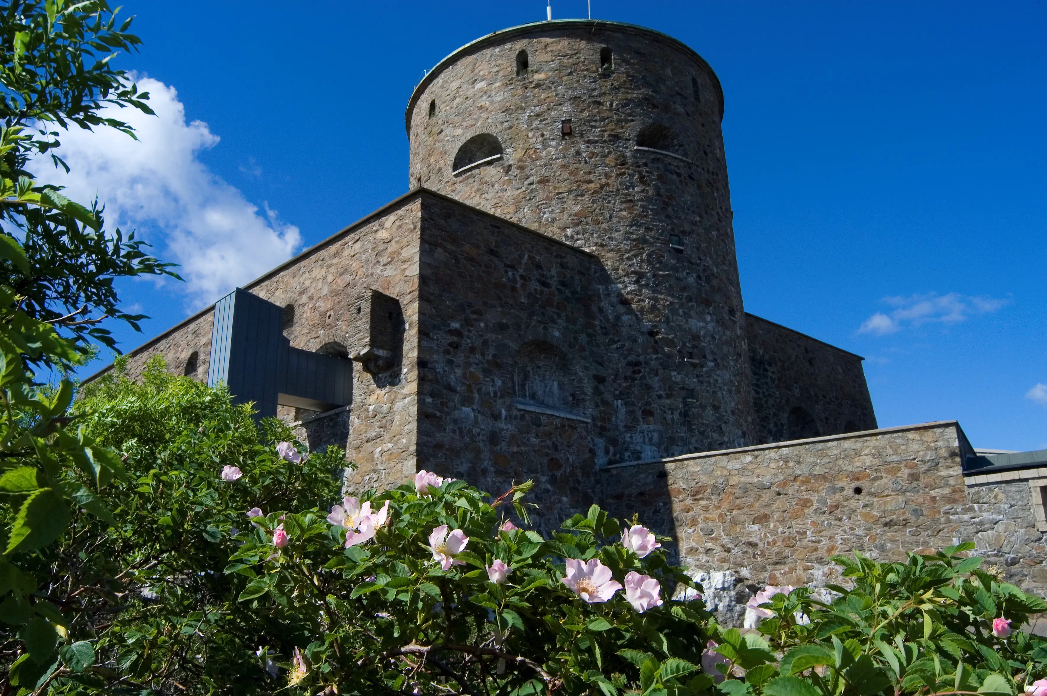 Carlstens fästning, centraltornet. Ett runt torn inbyggt i en fyrkantig byggnad, allt i sten. Sommar och blommande rosor.