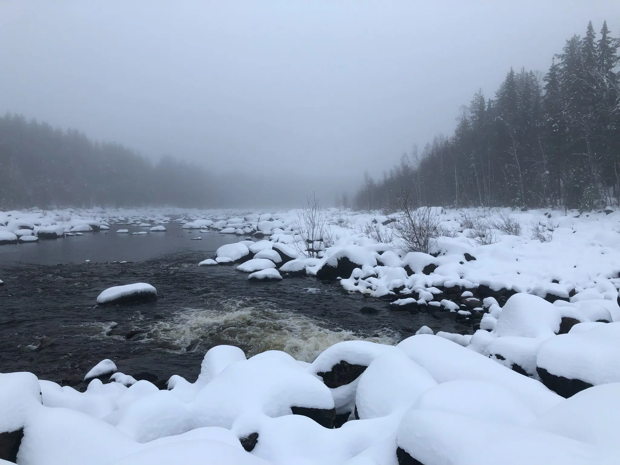 En vinterbild visar Luleälven. Himlen är mulen och det gröna vattnet kantas av snöiga stenar.