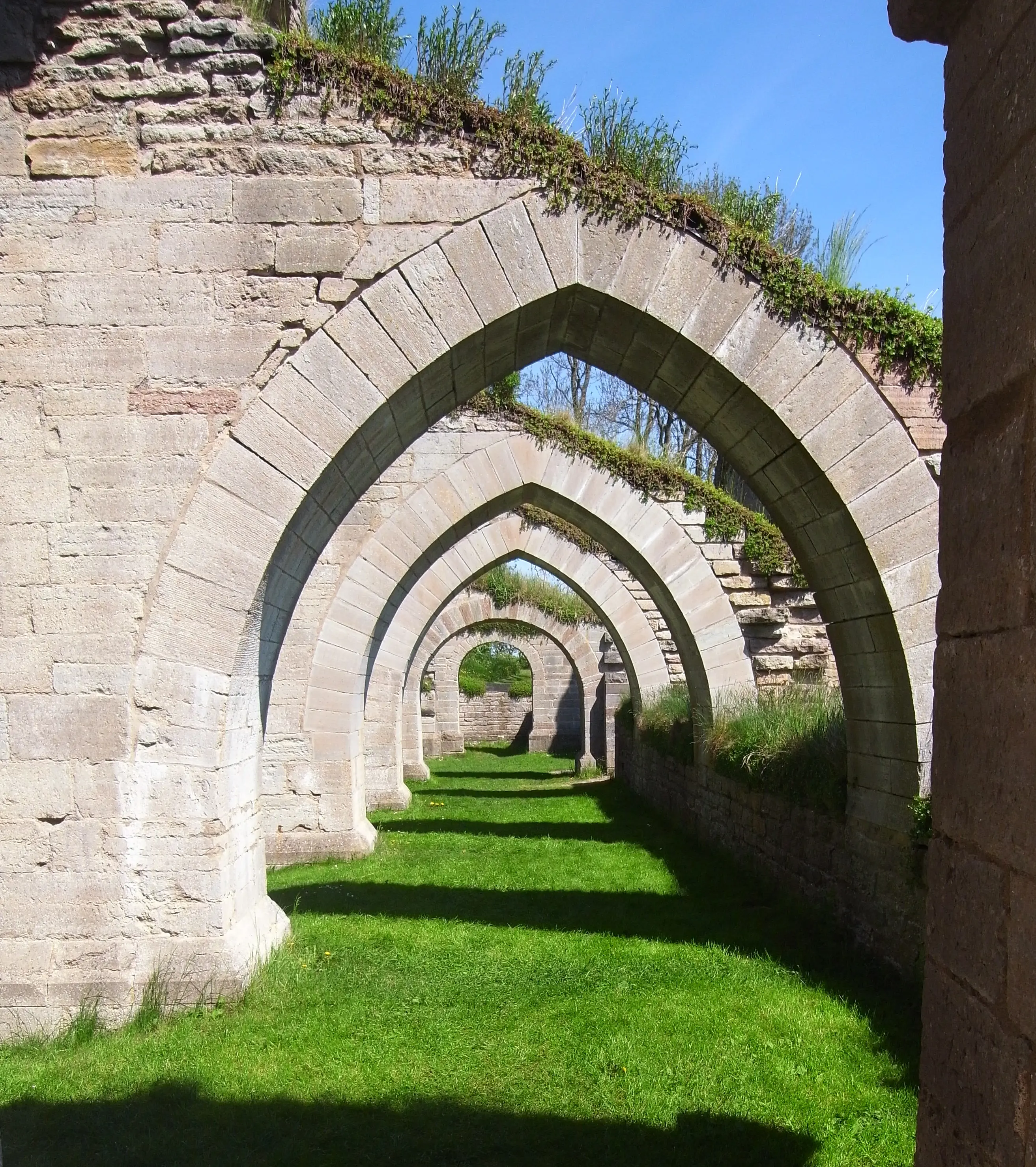 Alvastra klosterruin. Perspektiv genom en rad spetsiga stenvalv, beväxta med örter och gräs.