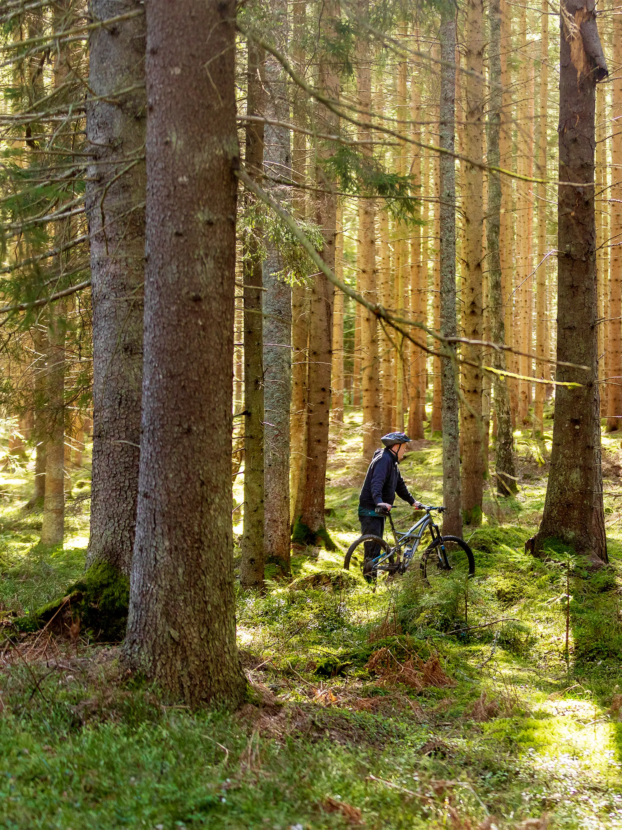 Pilgrimsled i skogen på Kållandsö