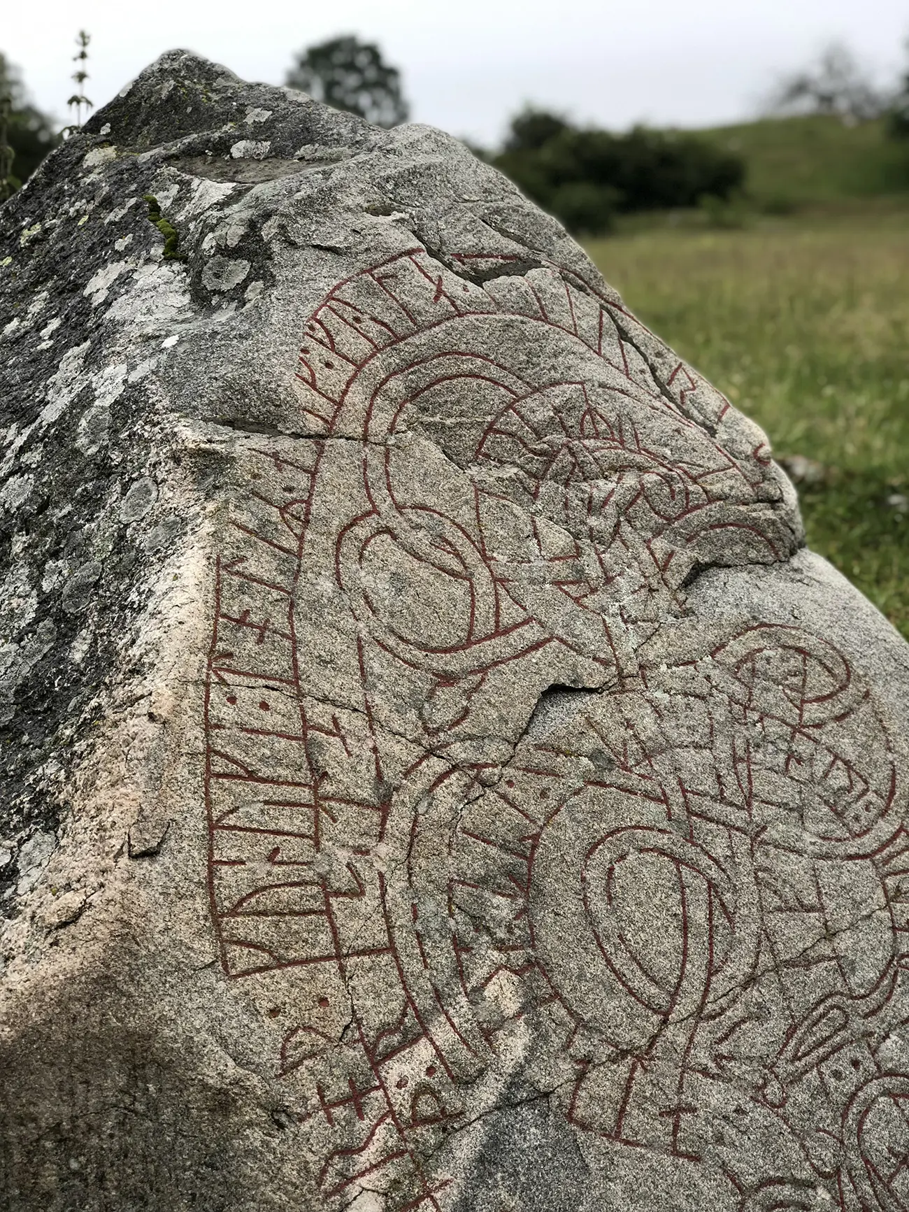 Runsten på Adelsö. En slingrande drake utgör skrift-bandet som runorna står i.