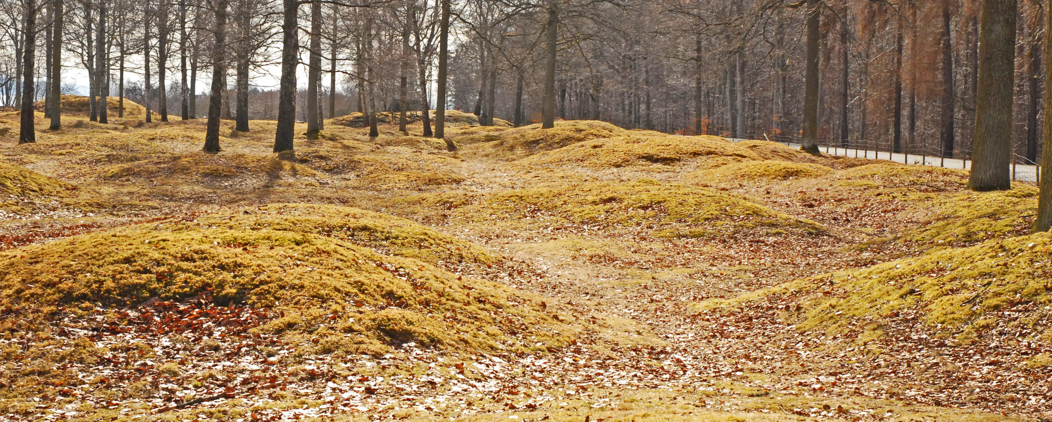 Vikinga-tida gravfält med högar på Visingsö. Vinter och frost.