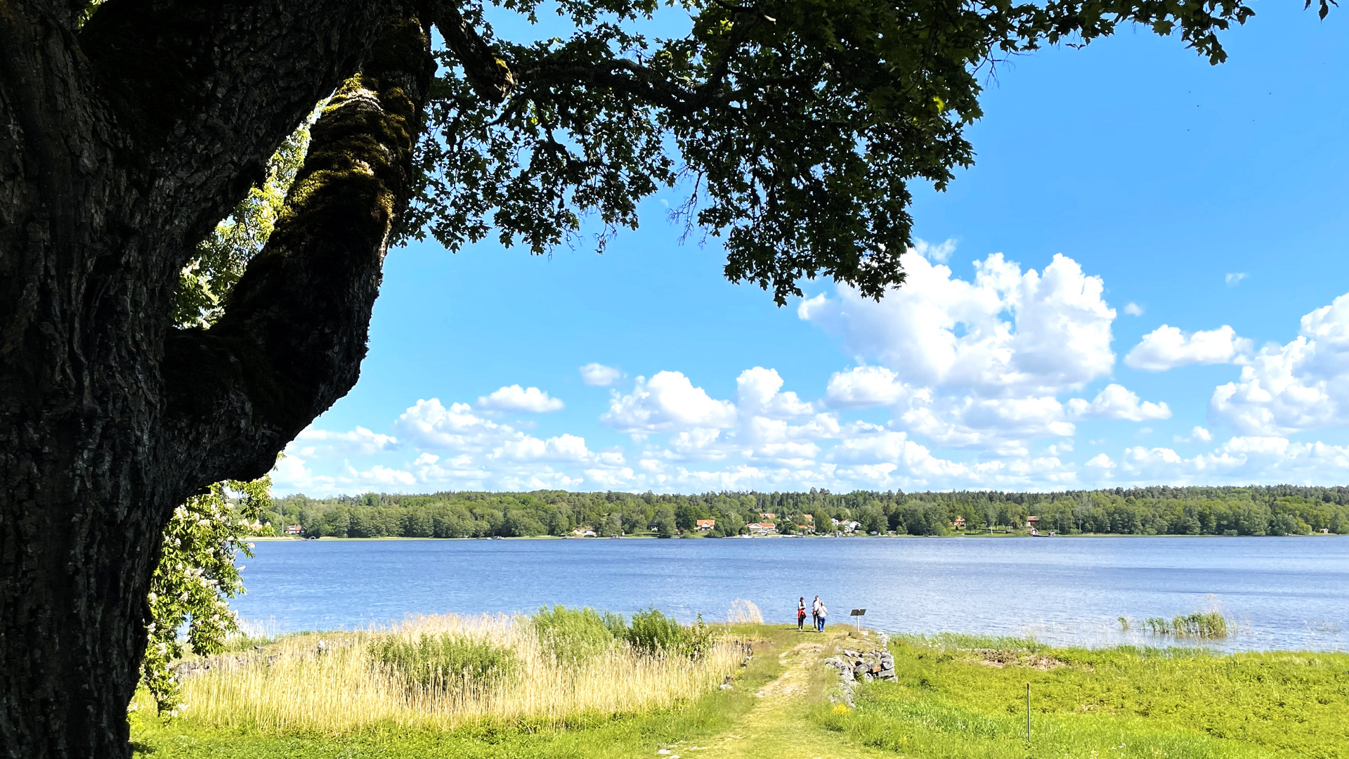 Stranden nedanför Skoklosters slott. En gammal stengrund går ut i vattnet. Några besökare står och läser på en skylt.