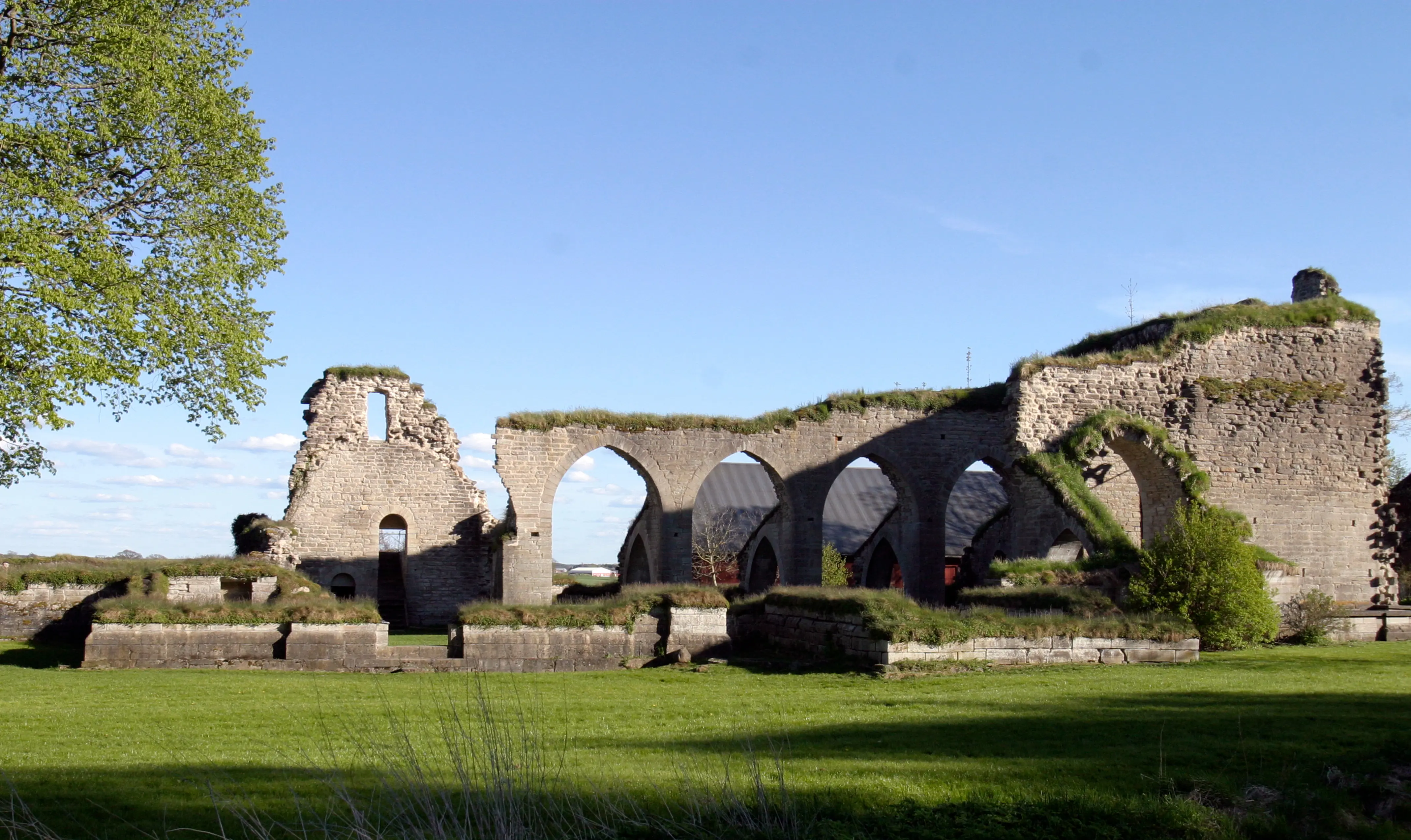 Alvastra klosterruin