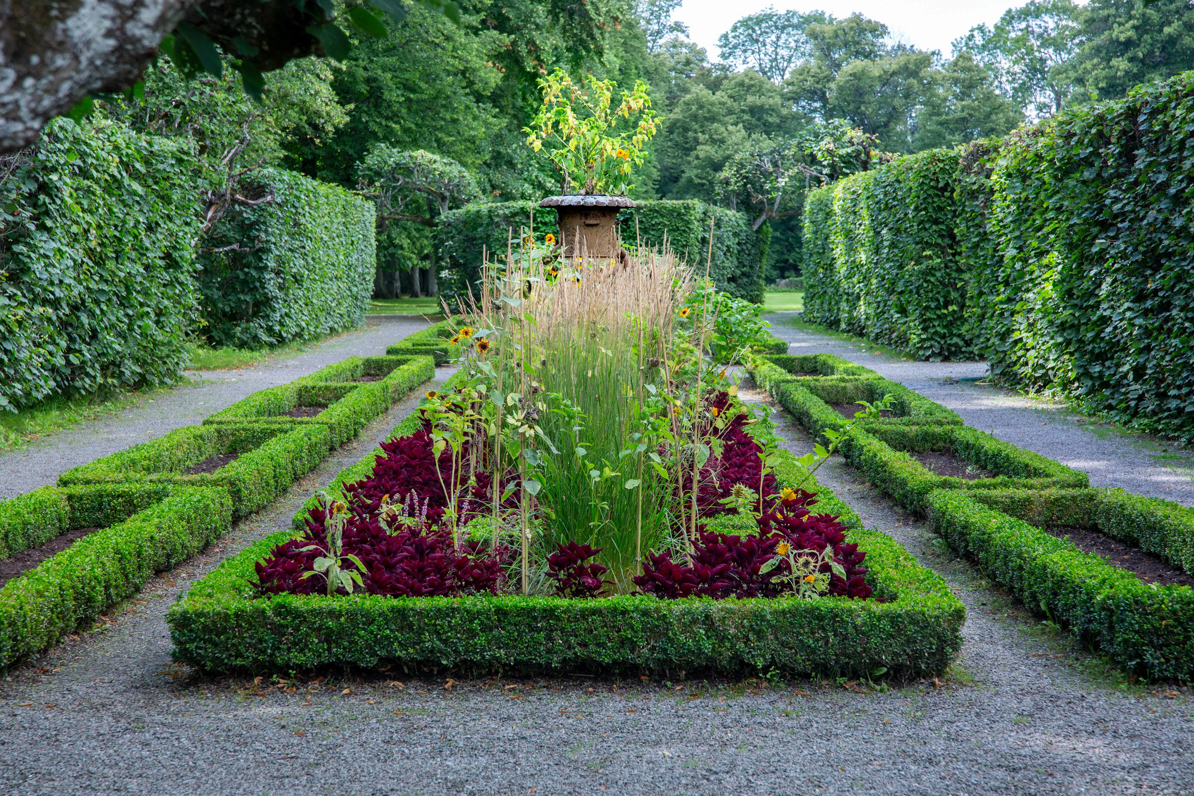 Lindboské i Ulriksdals slottsträdgård med rektangulära rabatter.