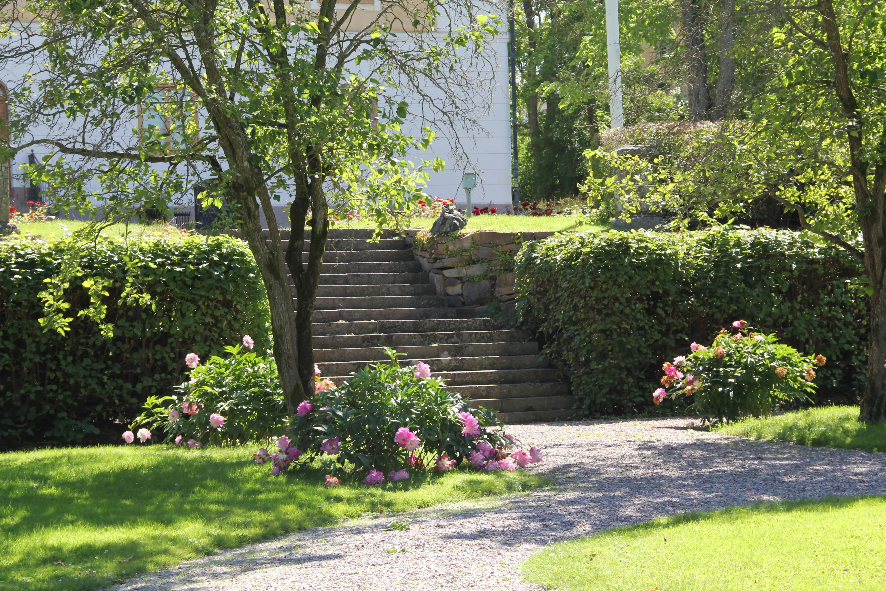 Gävle slottspark. Mellan pioner och formklippta buskar leder en trappa upp mot slottet.