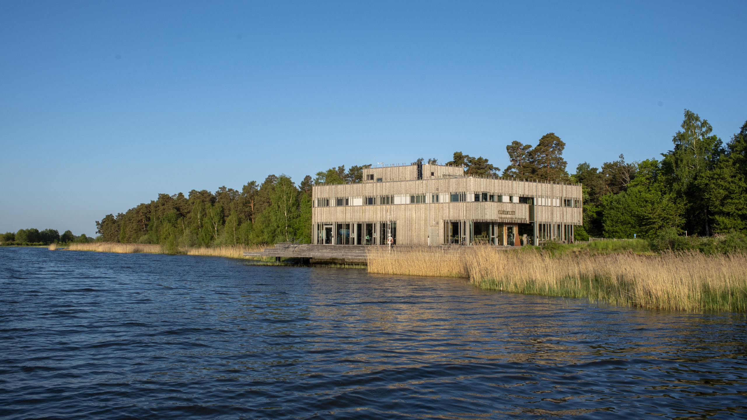 Naturum Vänerskärgården sett från vattnet. Den obehandlade, stående träpanelen gör att byggnaden nästan smälter in bland vassen.