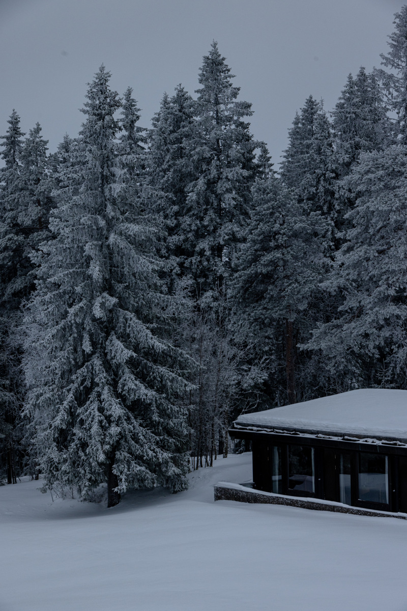 En låg byggnad omgiven av höga granar. Snön ligger djup. 