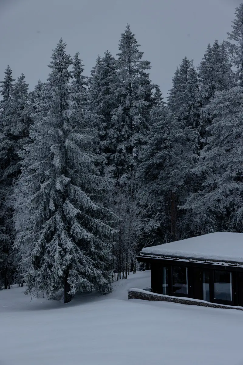 En låg byggnad omgiven av höga granar. Snön ligger djup.