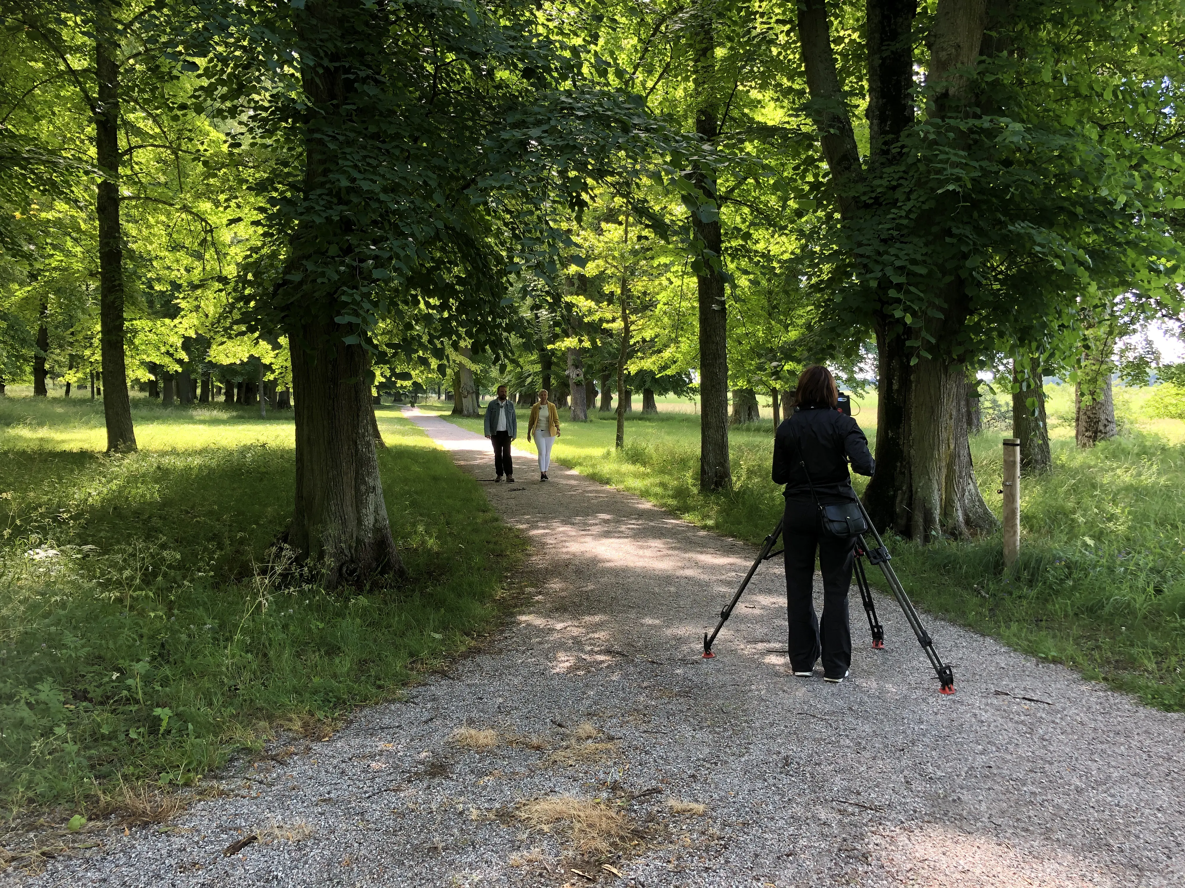 En person står framför en kamera och filmar två andra personer som går på en grusgång i en grönskande trädallé.