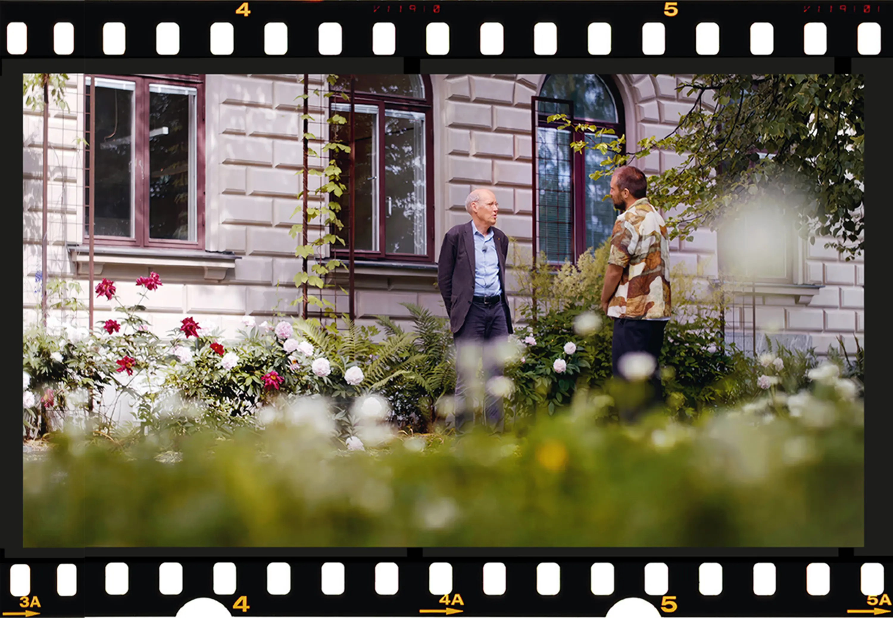 Filmruta med trädgårdsbild