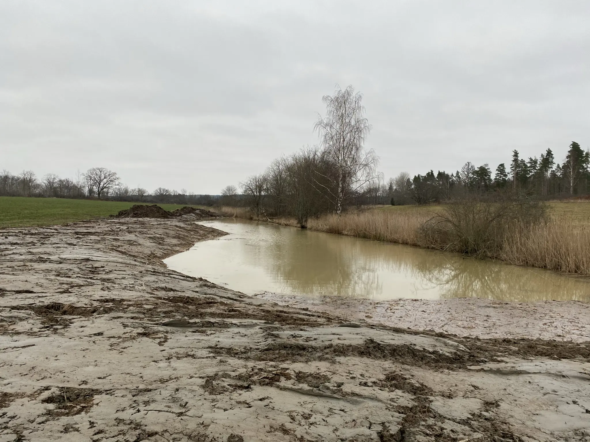 Jordbrukslandskap med en utgrävd sänka för återvätning av våtmark.
