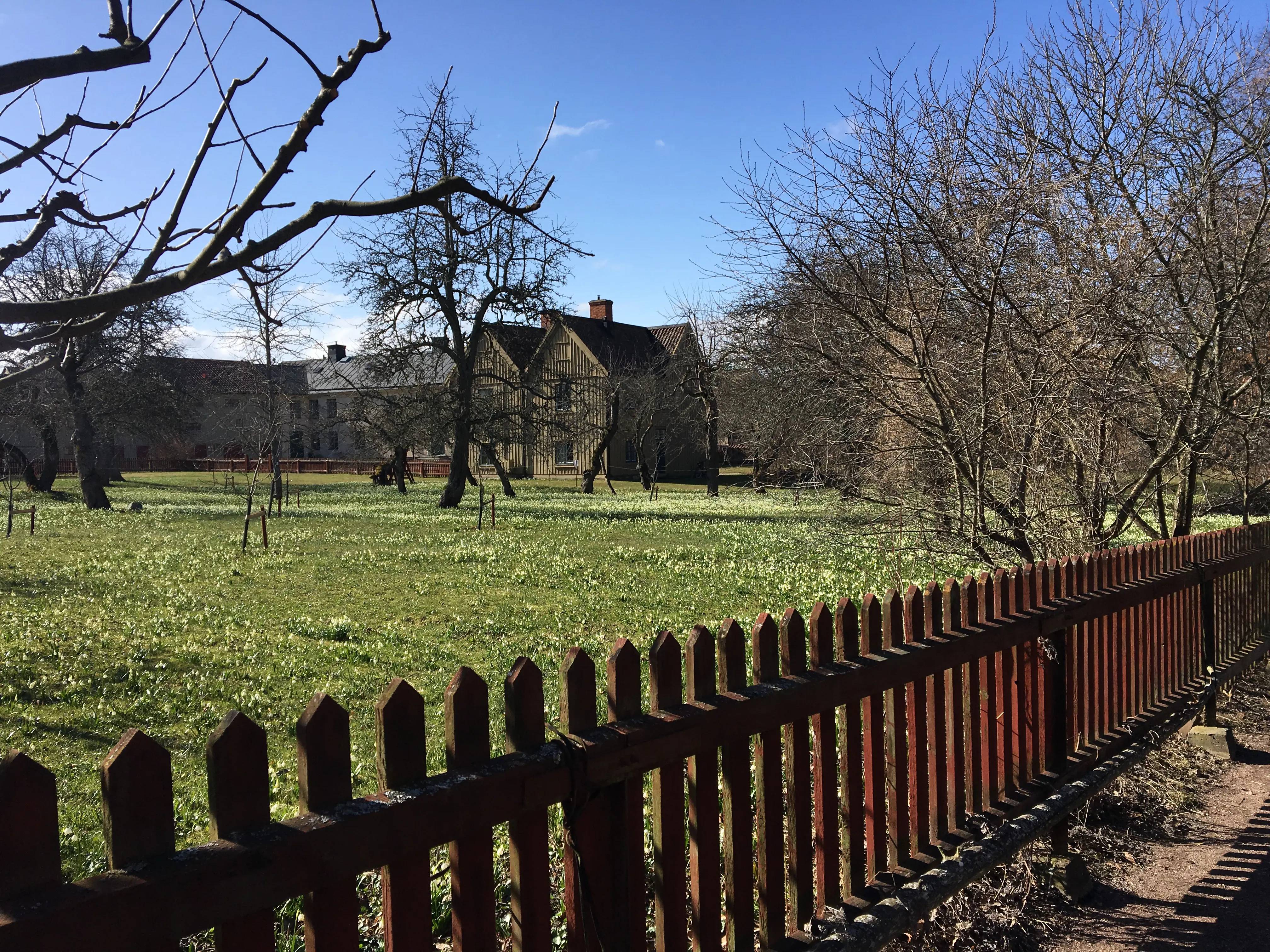 Nedre bostadshusen i klosterträdgården