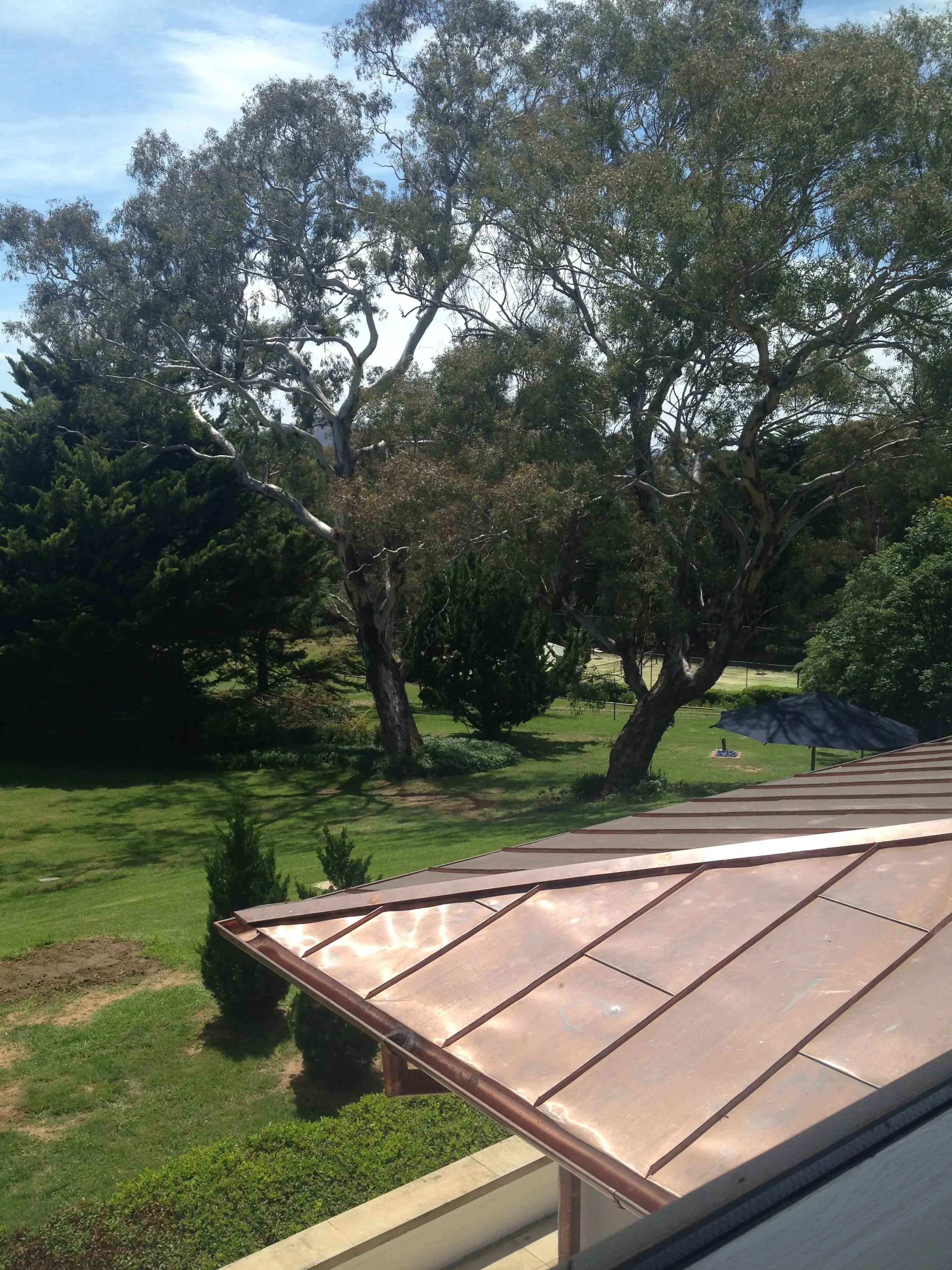Ambassaden i Canberra. Utsikt över ett tak med nylagda kopparplåtar och trädgården med stora eucalyptusträd.