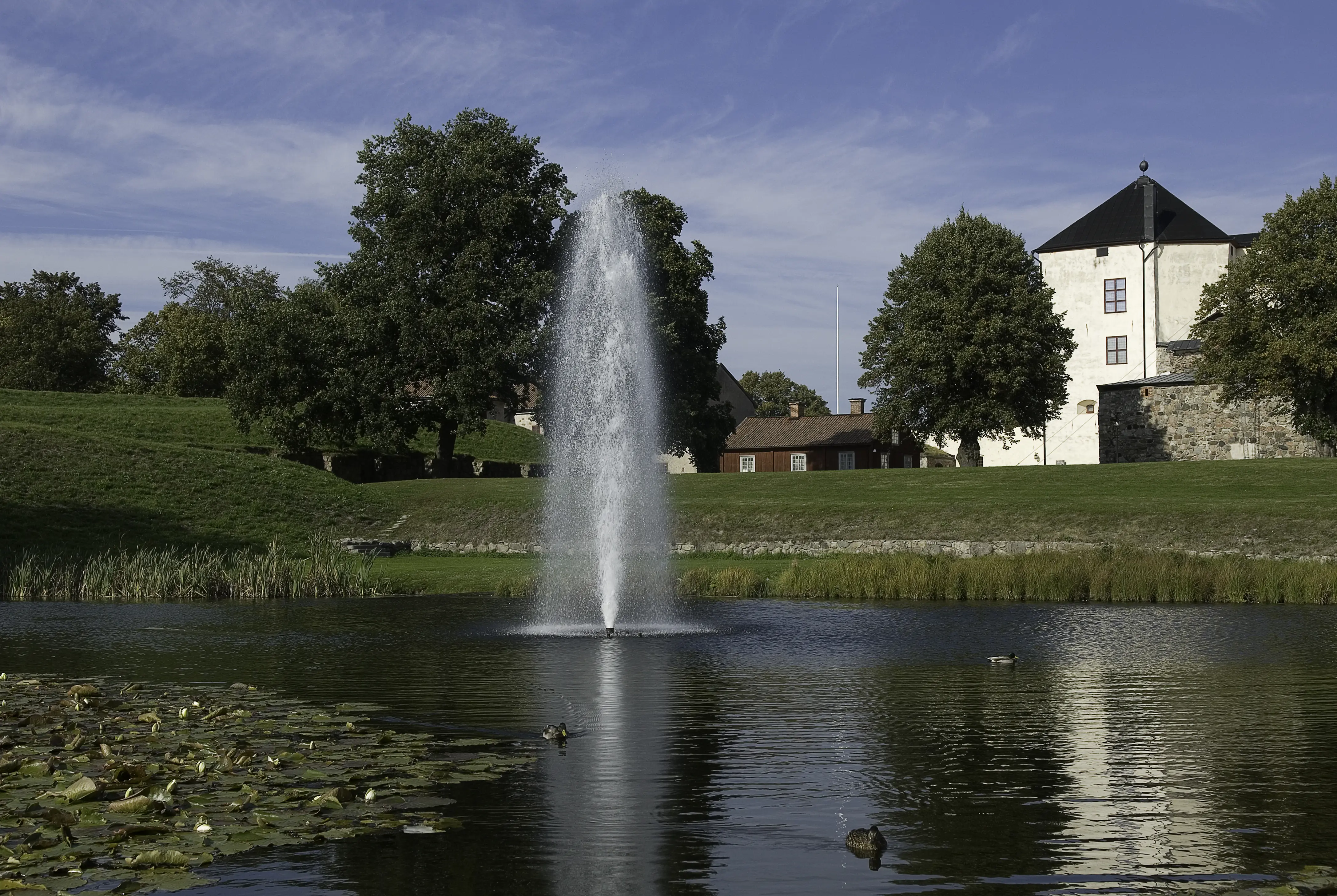 Dammen framför Nyköpings-hus. Ur vattnet sprutar en fontän. Änder simmar och vita näck-rosor blommar.