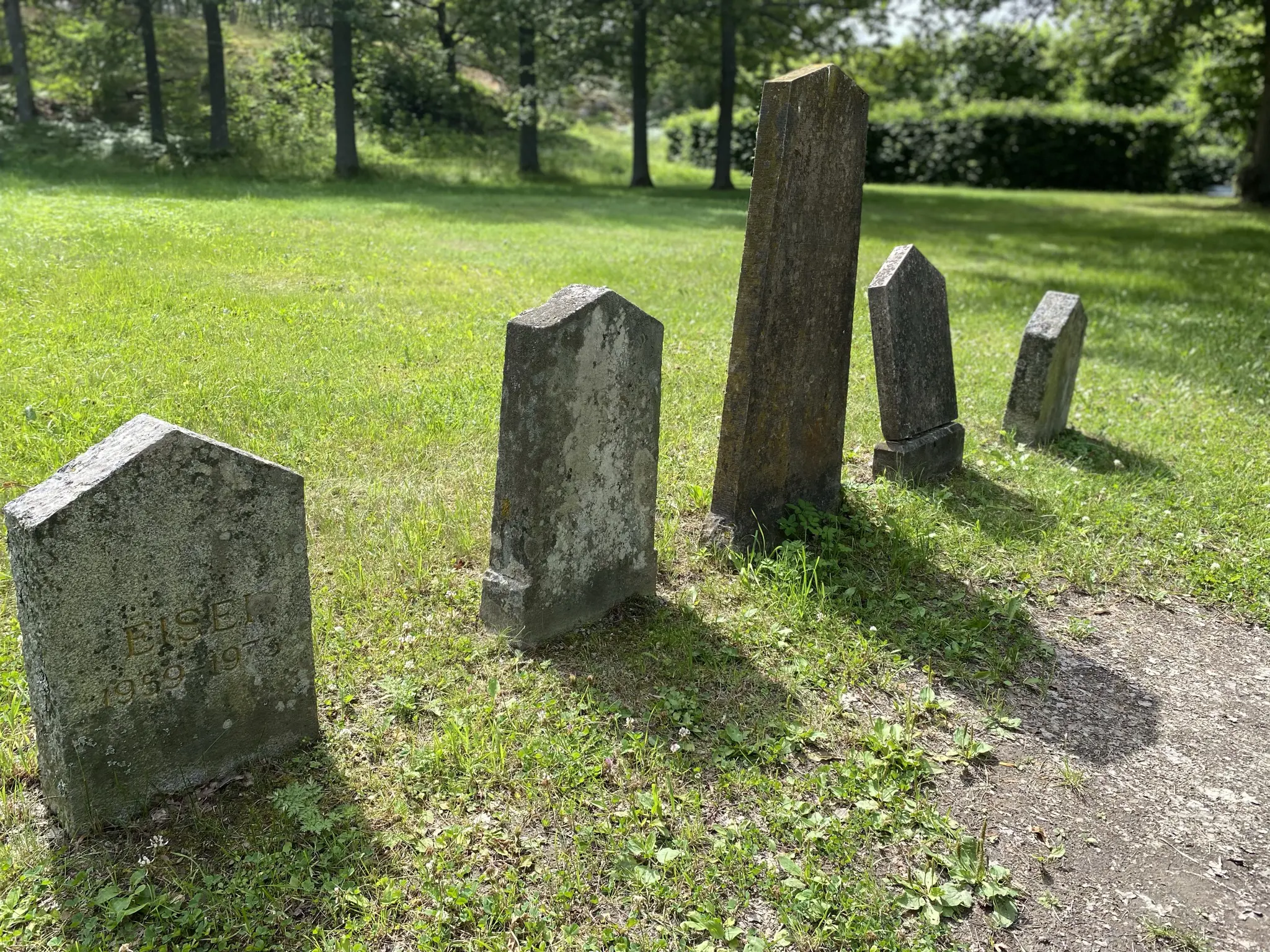 Begravningsplats för hundar vid Kina slott, Drottningholm. En rad med fem gravstenar. Sommar och grönska.