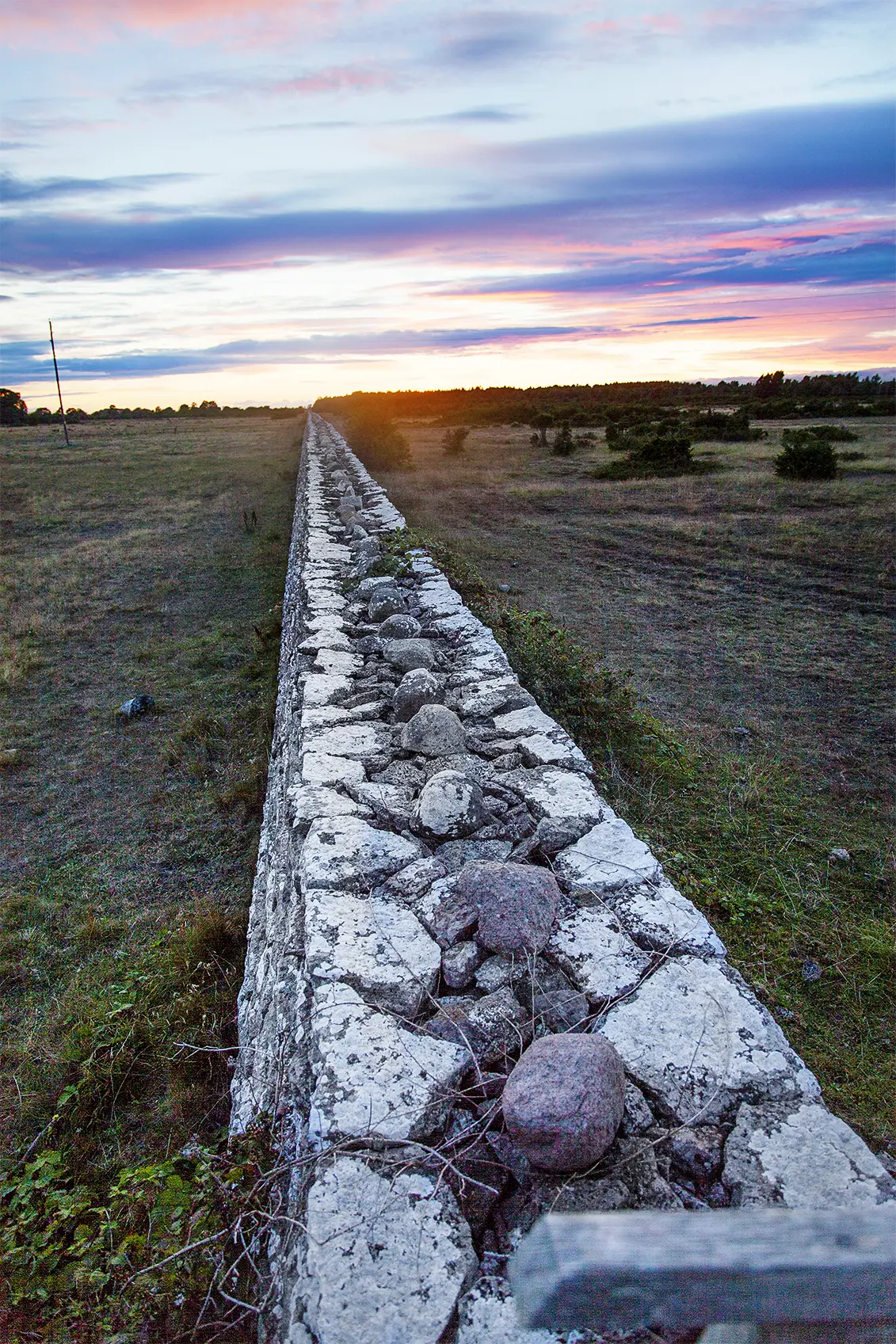 Karl X Gustavs mur skiljer södra Ölands odlingslandskap från resten av ön.