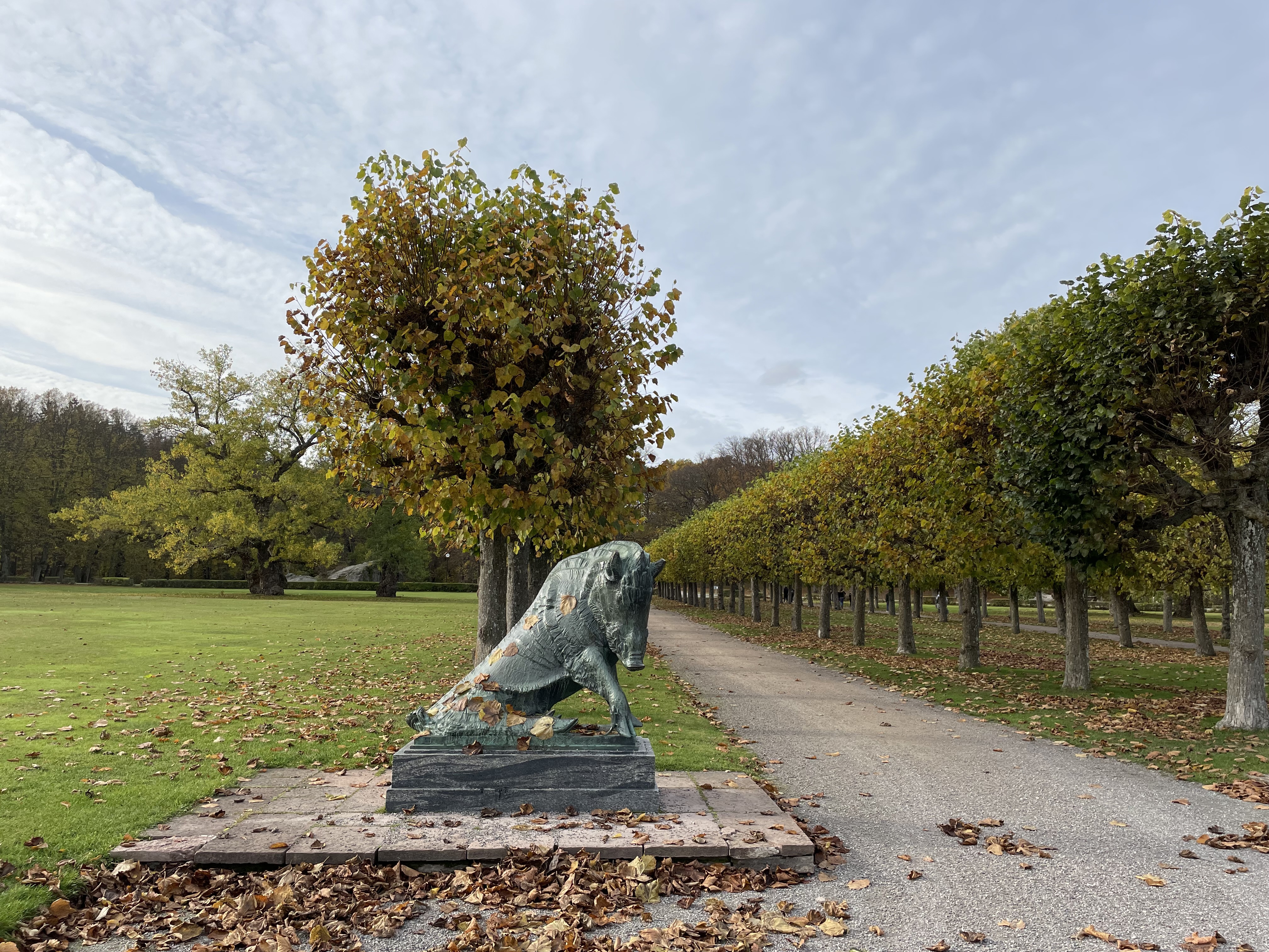 Ulriksdals slottsträdgård. En brons-skulptur av ett vildsvin sitter framför rader av formklippta lindar. Höst.