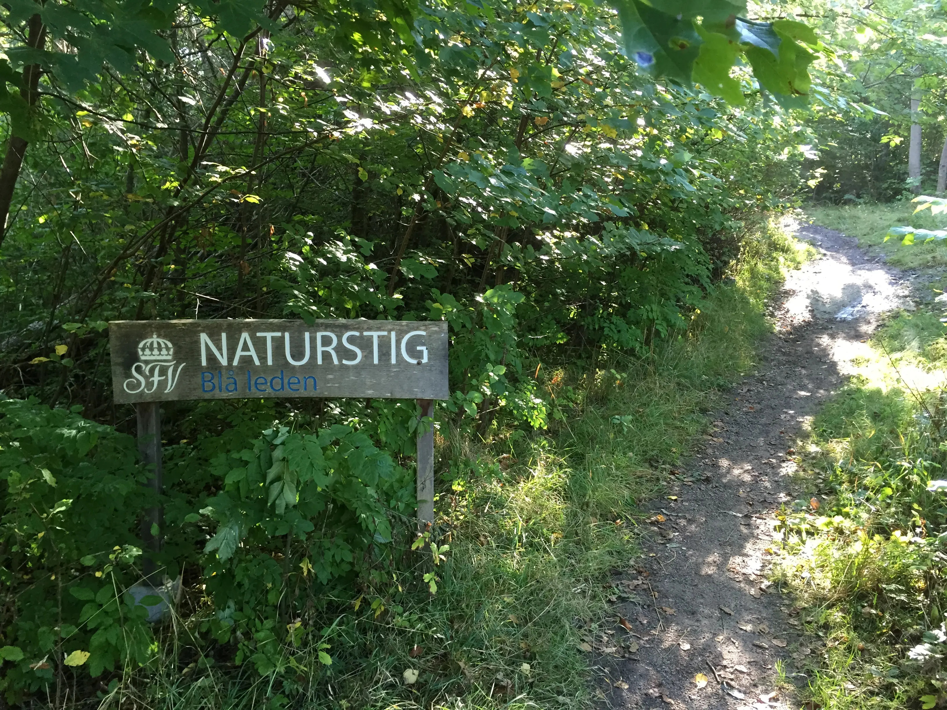 Bogesunds natur-reservat. En stig går genom grönskande lövskog. På en skylt står "Naturstig - Blå leden" och SFVs logotyp