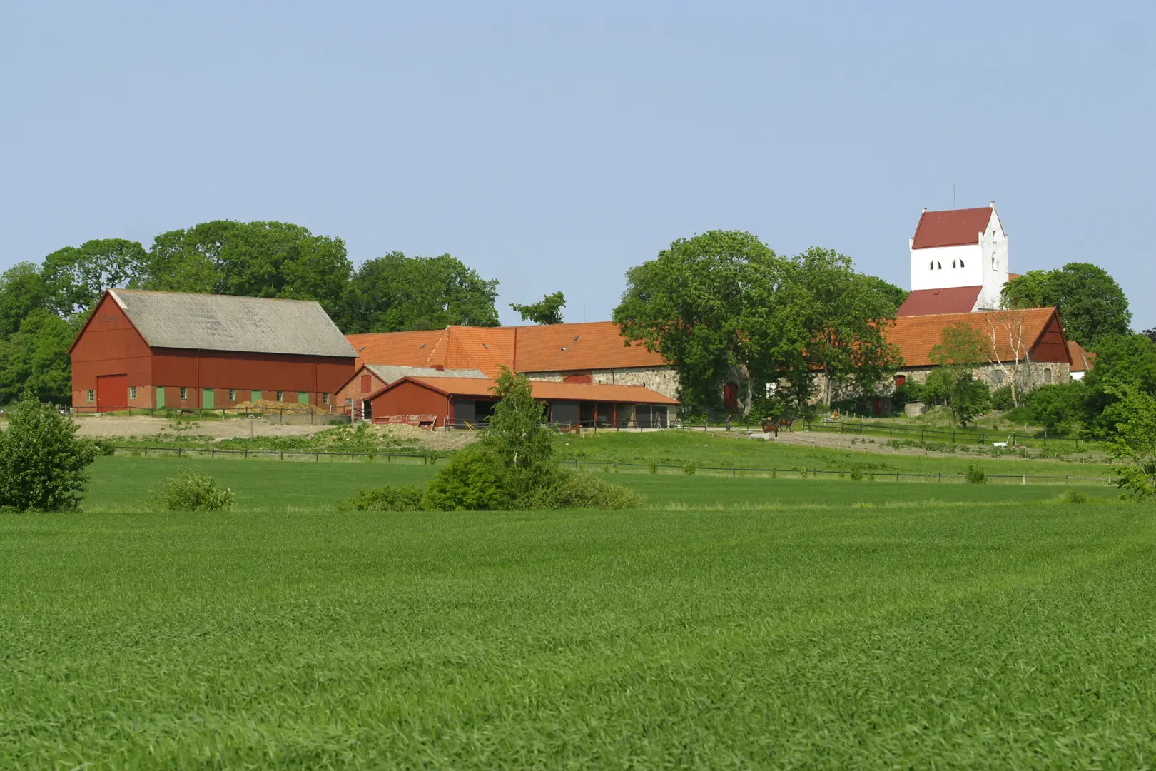 Dallby kungsgård med en grönskande åker i förgrunden.