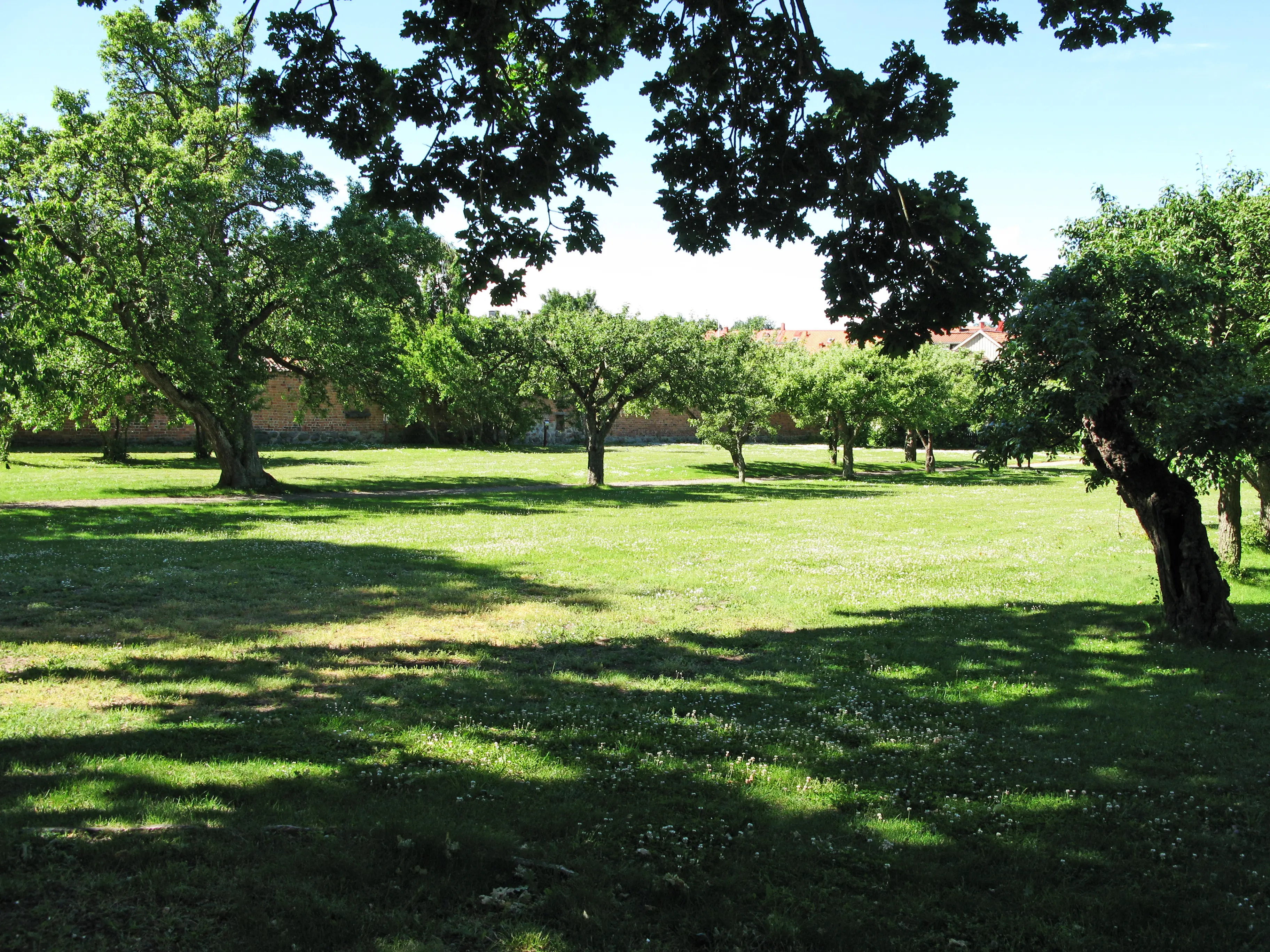 Fruktträdgården i klosterträdgårdarna i Vadstena. Sommar och grönska.