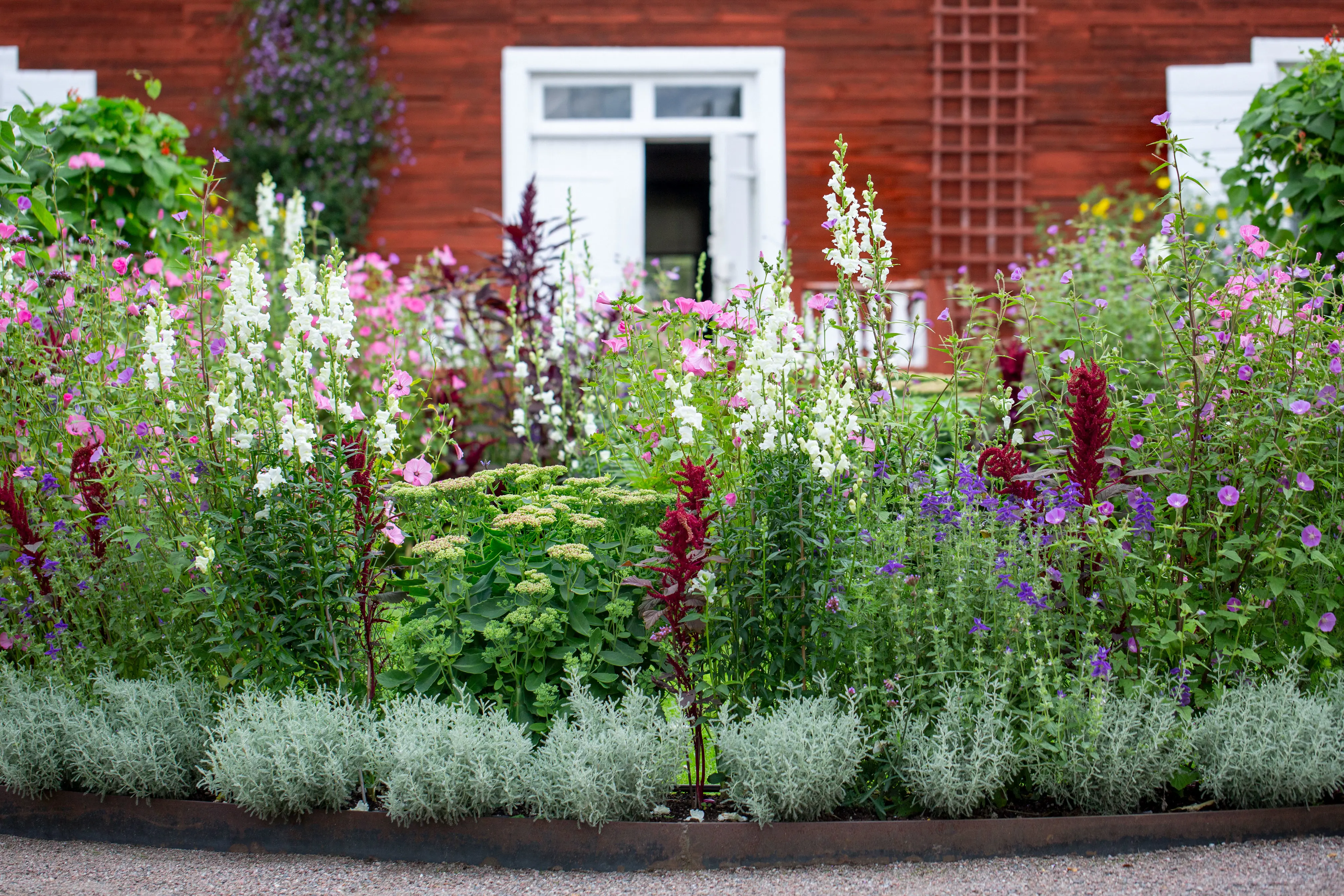 Rött hus bakom blomstrande rabatt.