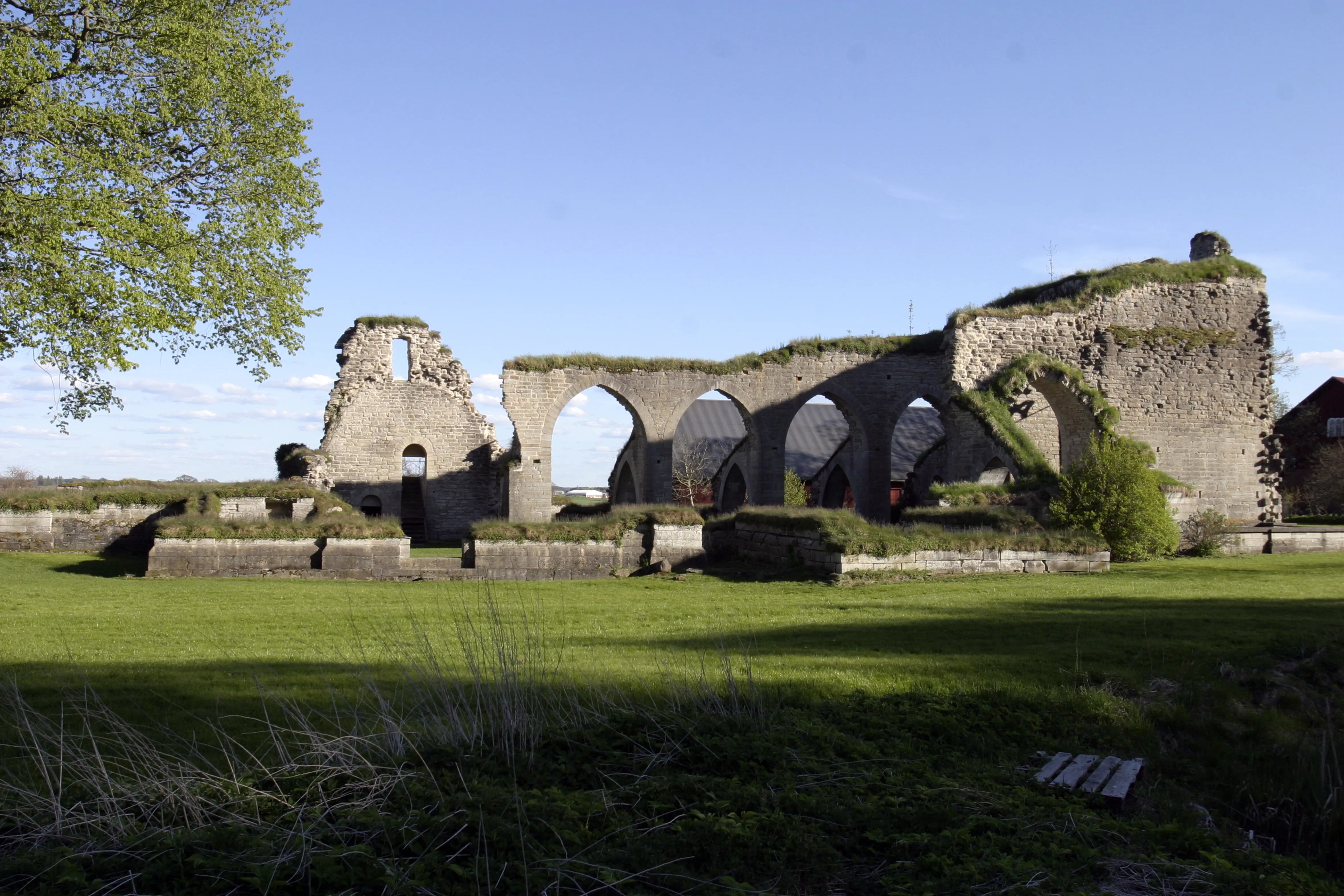 Ruin av den stora kyrkan i Alvastra kloster. Genom en rad medeltida valv syns kungsgårdens ladugård. Tidig vår och skir grönska.