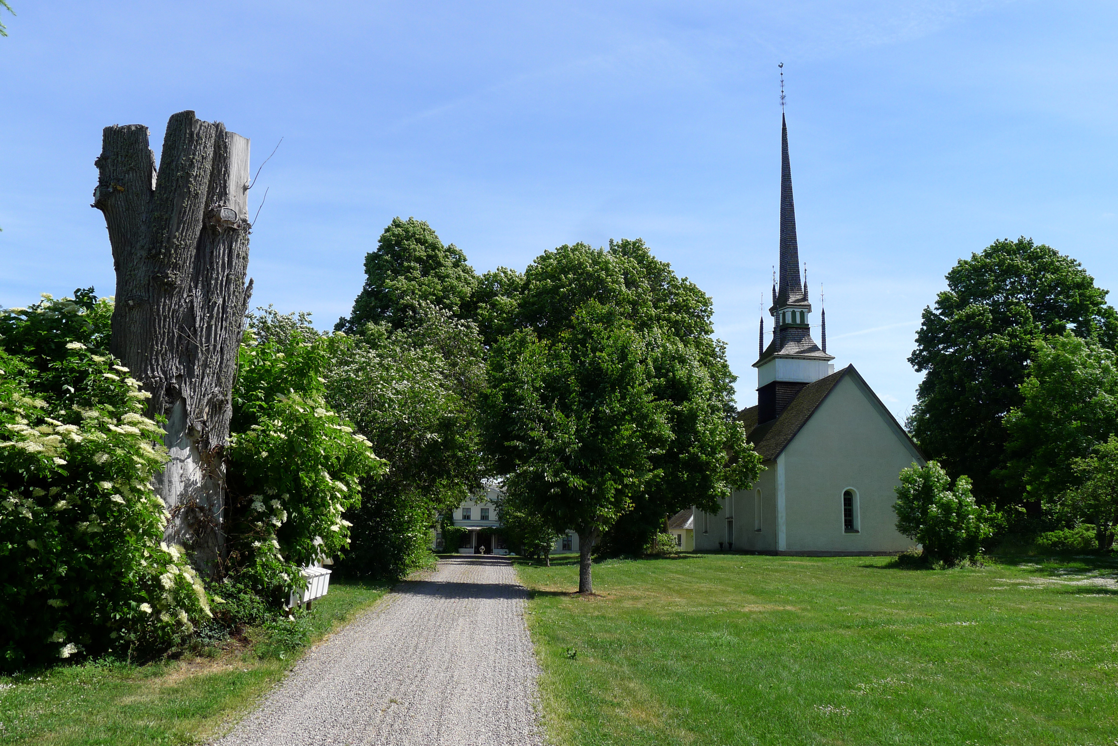 Brunneby kyrka och allén mot Brunneby gård. Sommar, blommor och lummig grönska.
