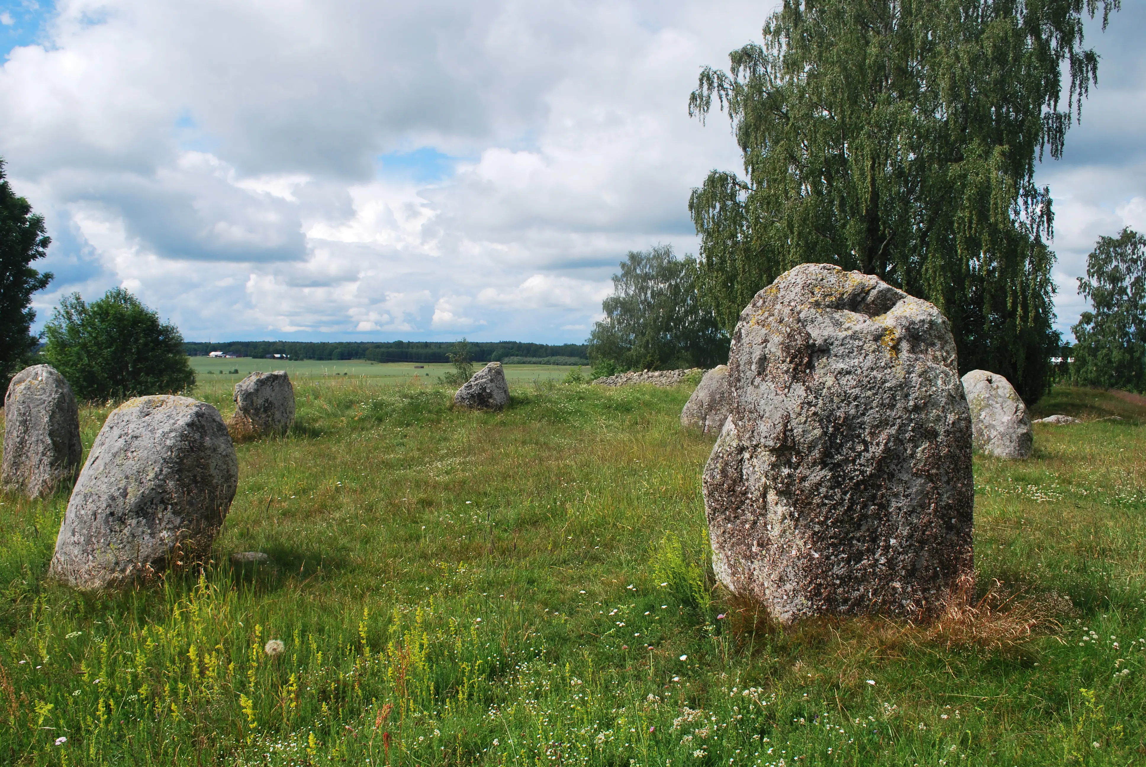Lekebackens gravfält. Domarringen med det stora röset i bakgrunden. Vy mot betesmark och skog.