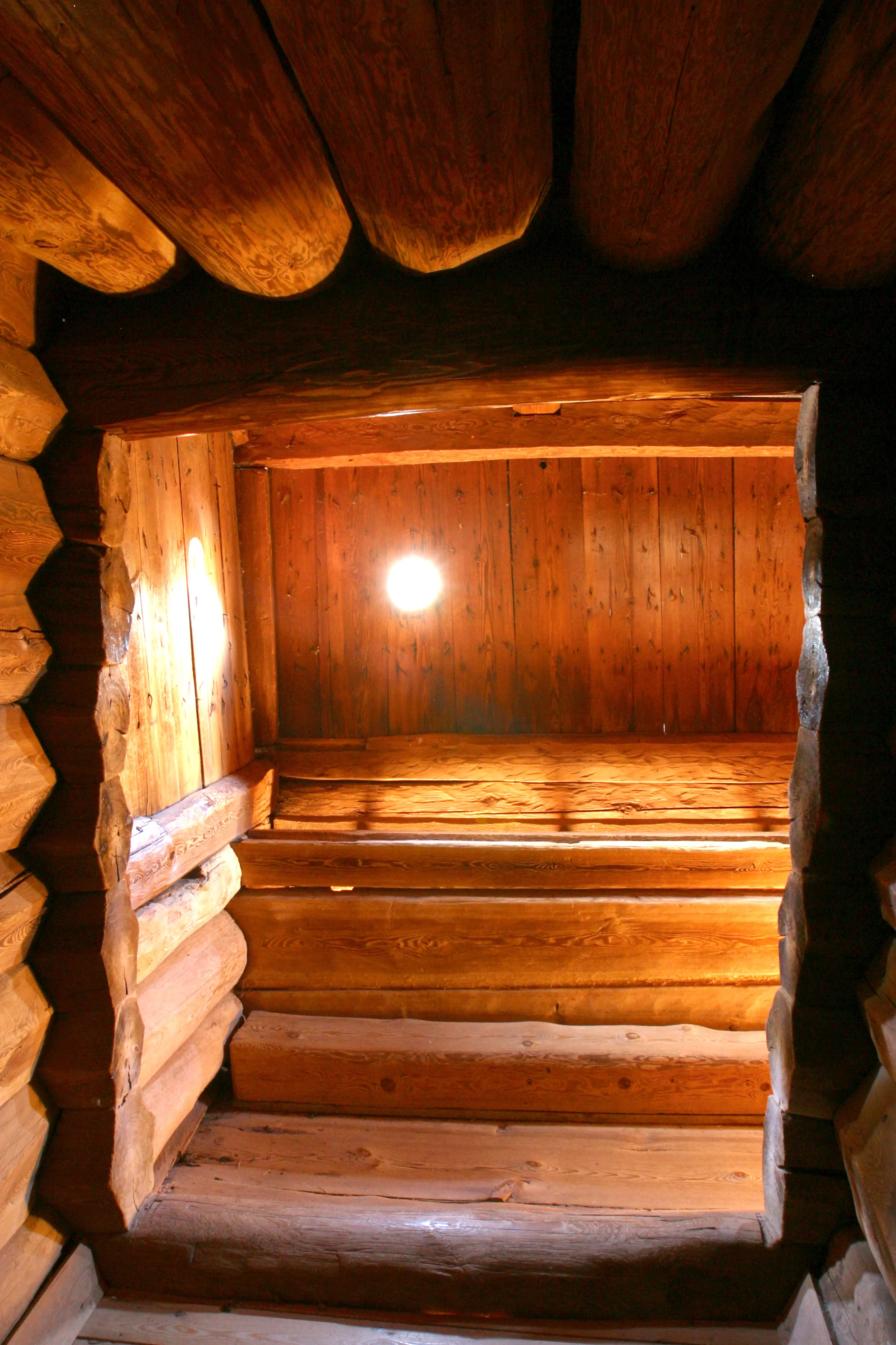 Ornässtugans berömda dass
