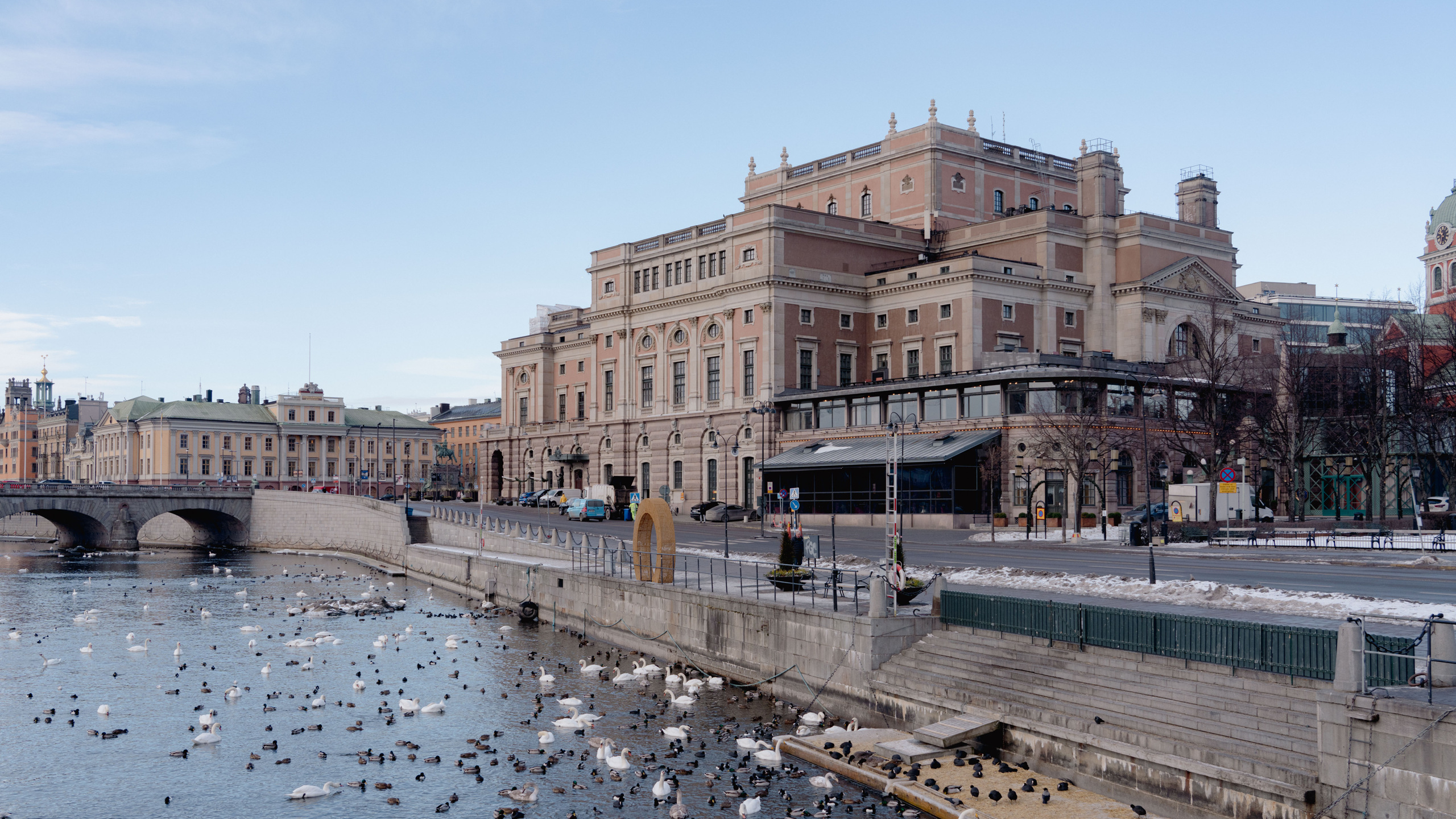 Operabyggnaden sedd från Strömbron. Många fåglar är samlade på och vid vattnet. 