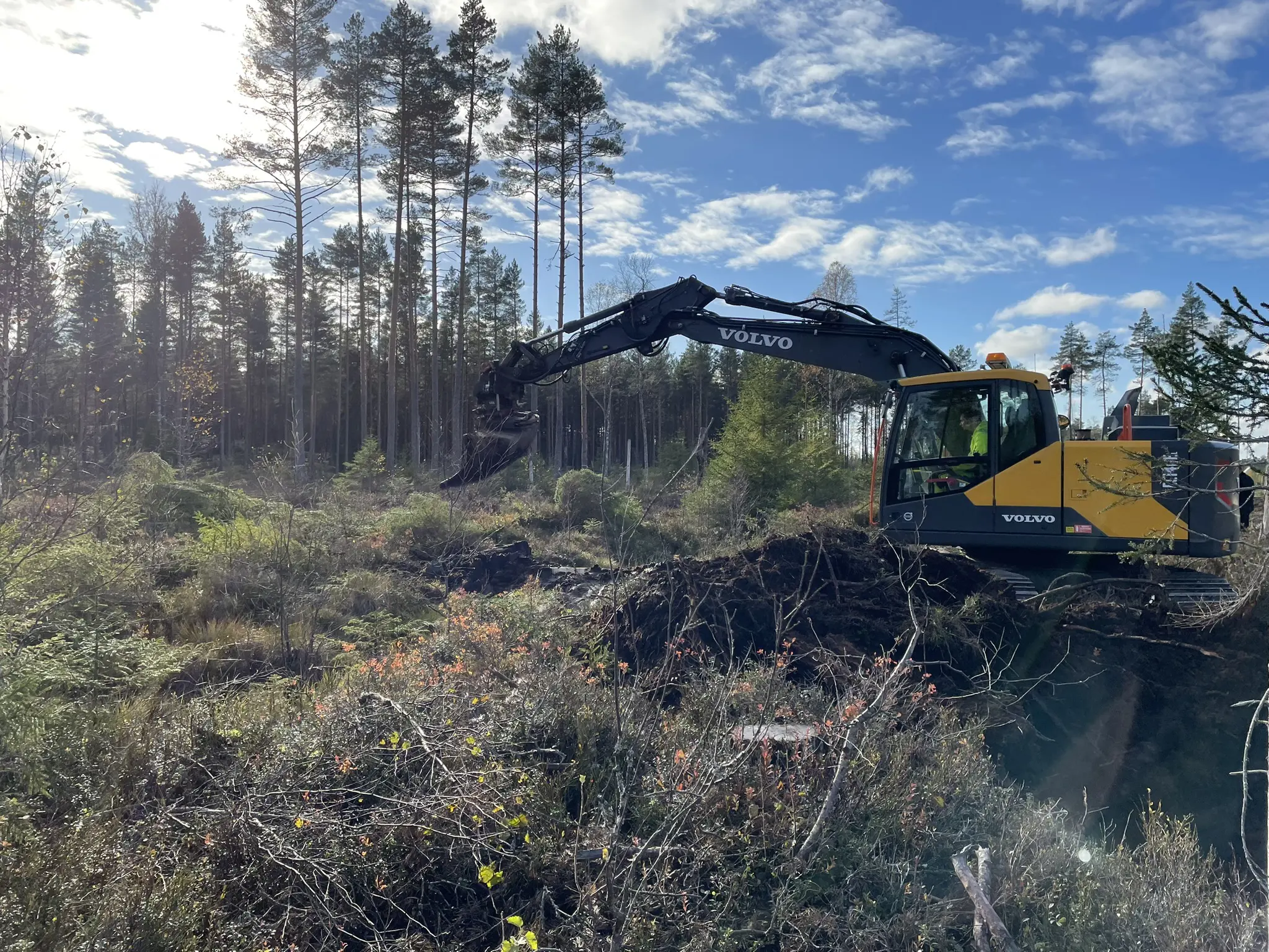 En grävmaskin i skogsmiljö som röjer för att återställa en våtmark.