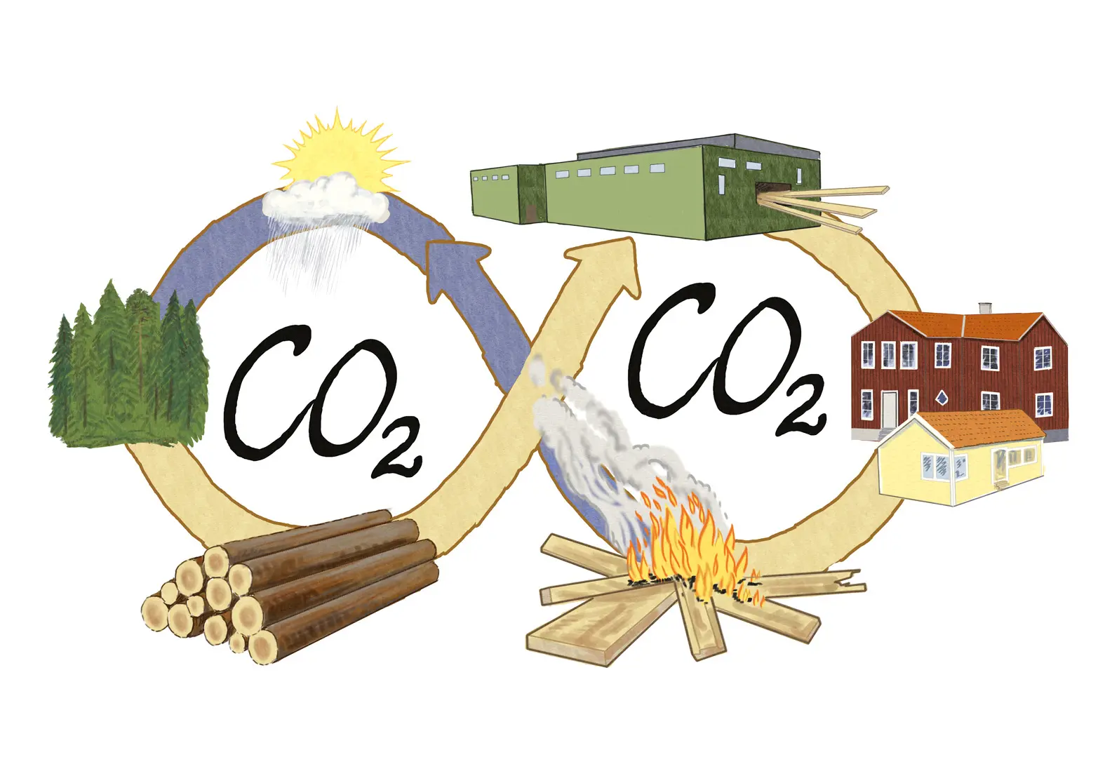 En illustration över det naturliga kretsloppet.