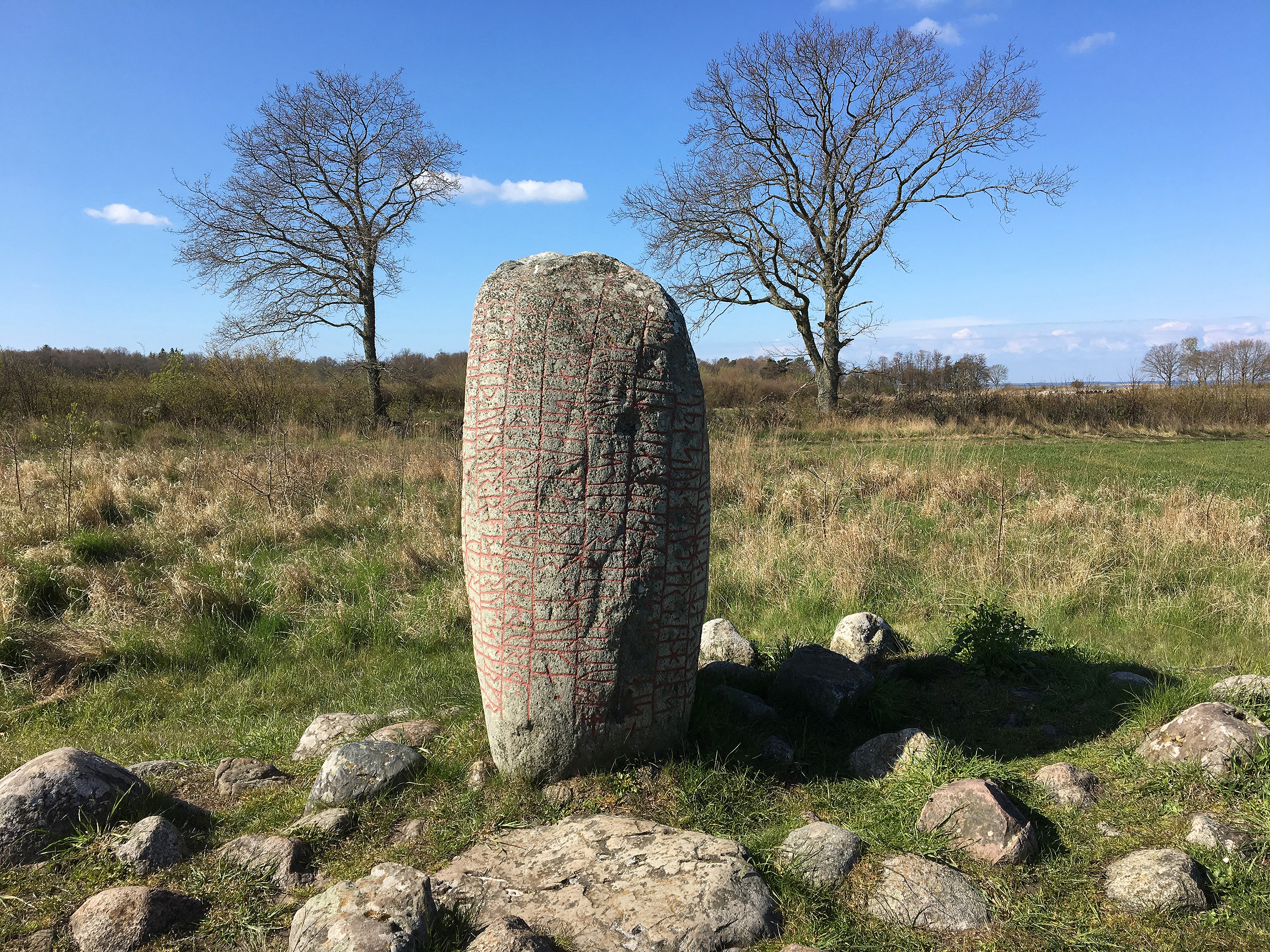 Karlevistenen på Öland