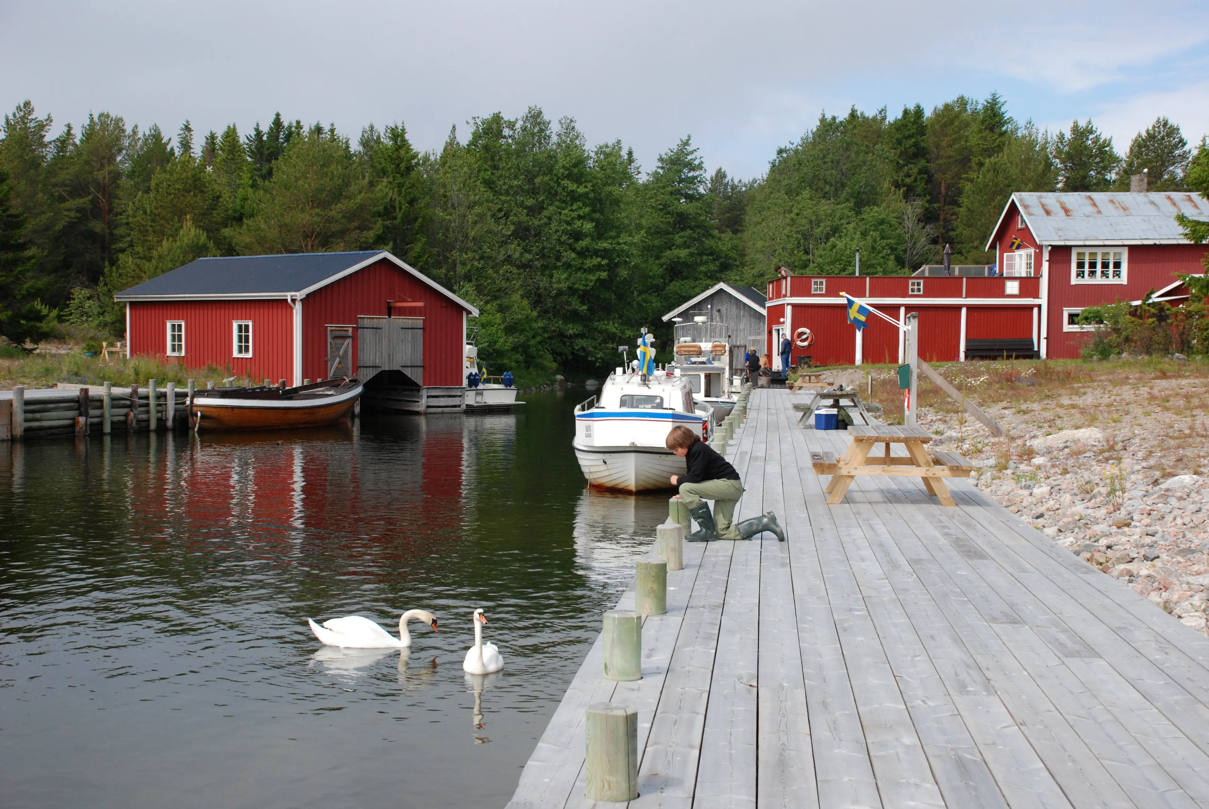 Nya hamnen på Gran. Inne i hamnen ligger några träbyggnader omgivna av blandskog. Ett barn på träkajen tittar på två svanar i vattnet.