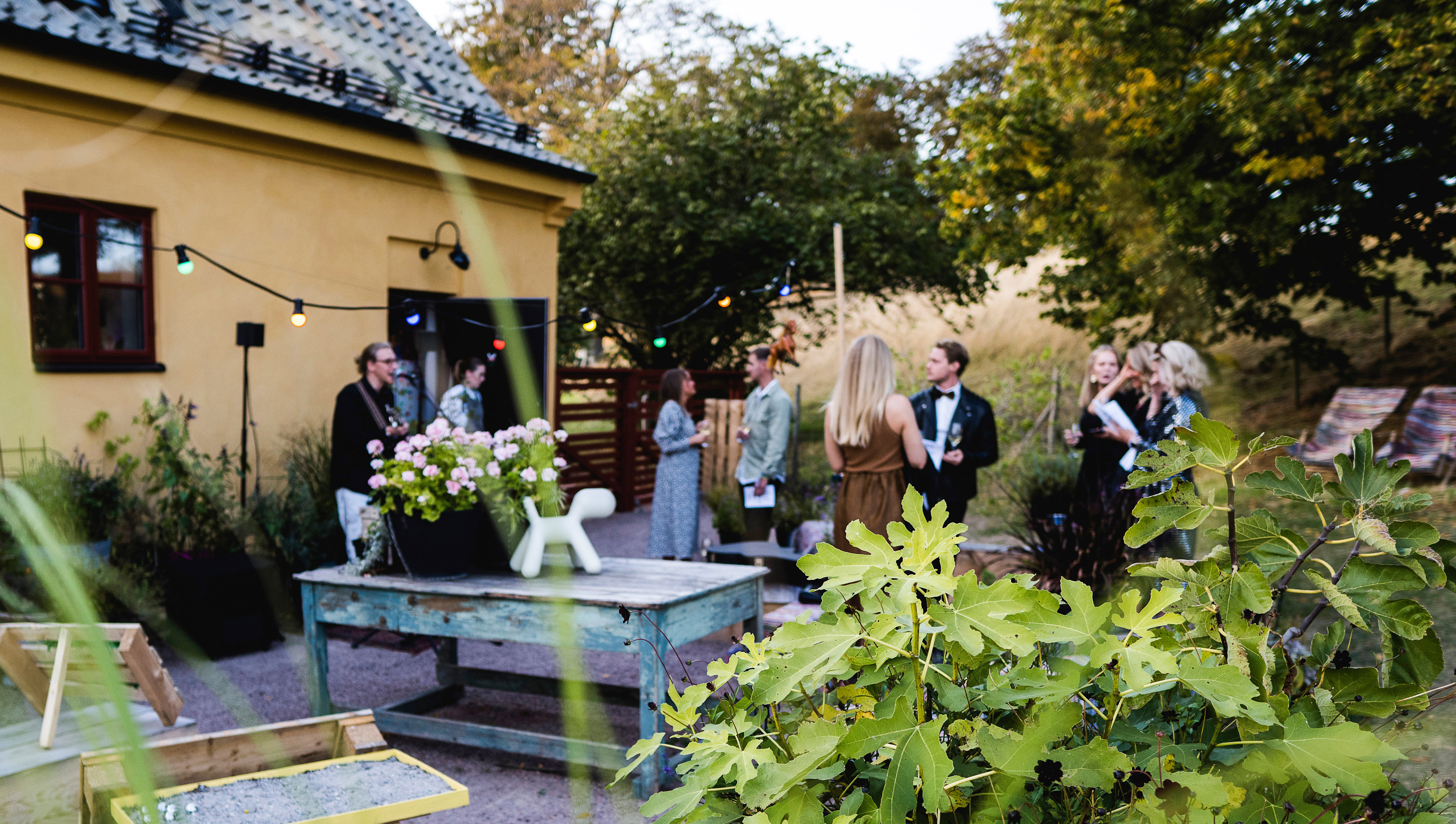 Somrig drink utanför Smörtaxen