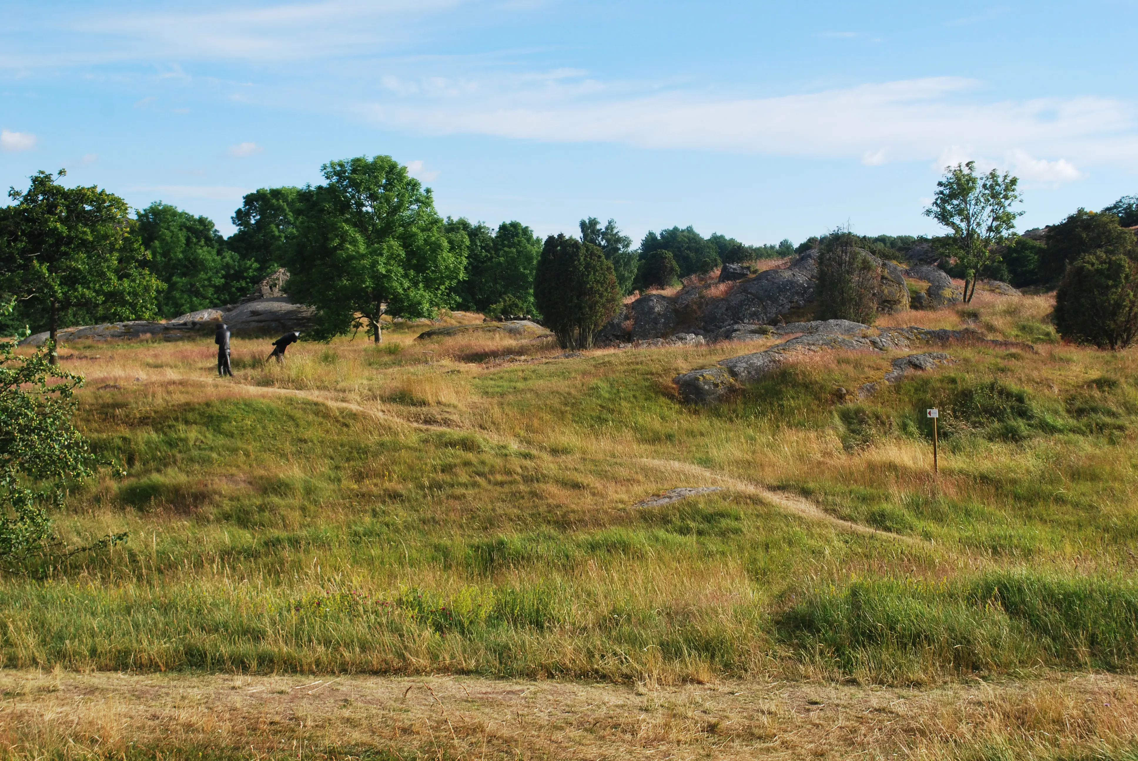 Pilane. Kuperat område med omväxlande klippor, gräs och lövträd. I en sluttning står några mörka människoliknande skulpturer.