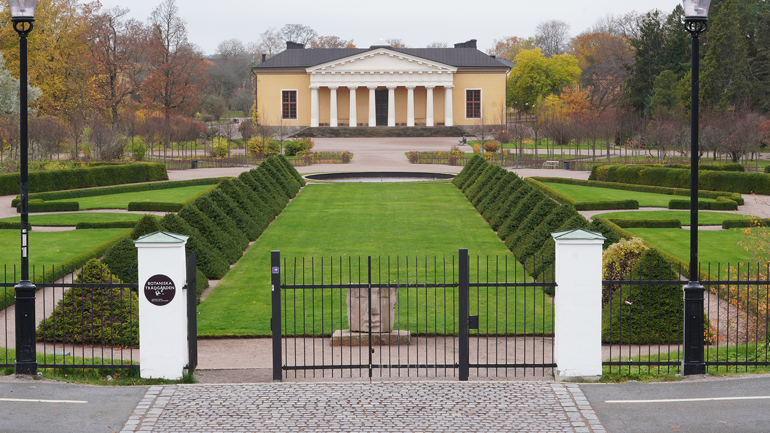 Granpyramider i Botaniska trädgården