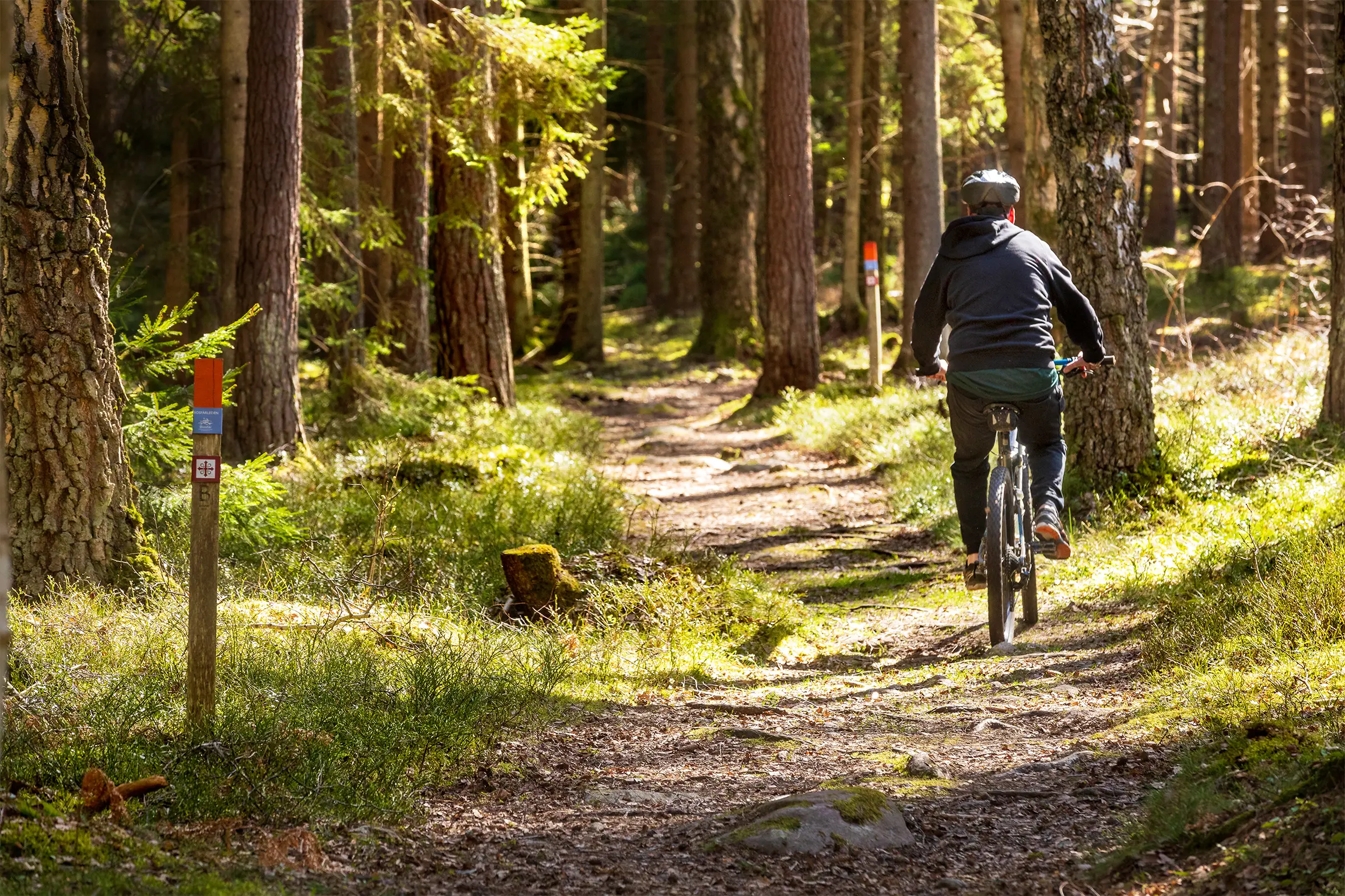 Skogsstig på Kållandsö