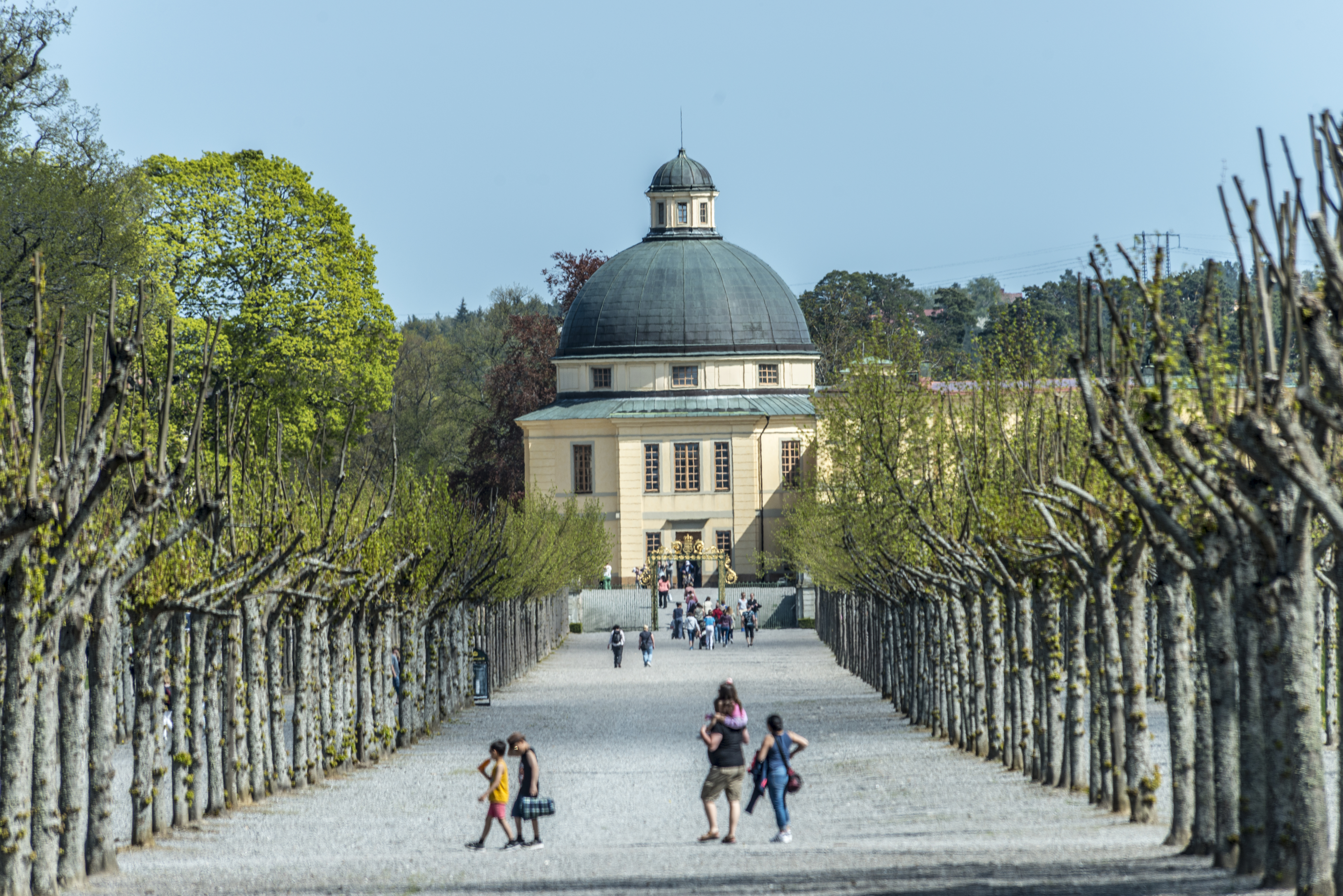 Drottningholms slottspark. Vy genom en av lindalléerna mot slottskyrkan. Besökare promenerar på grusgången. Vår och grönska.