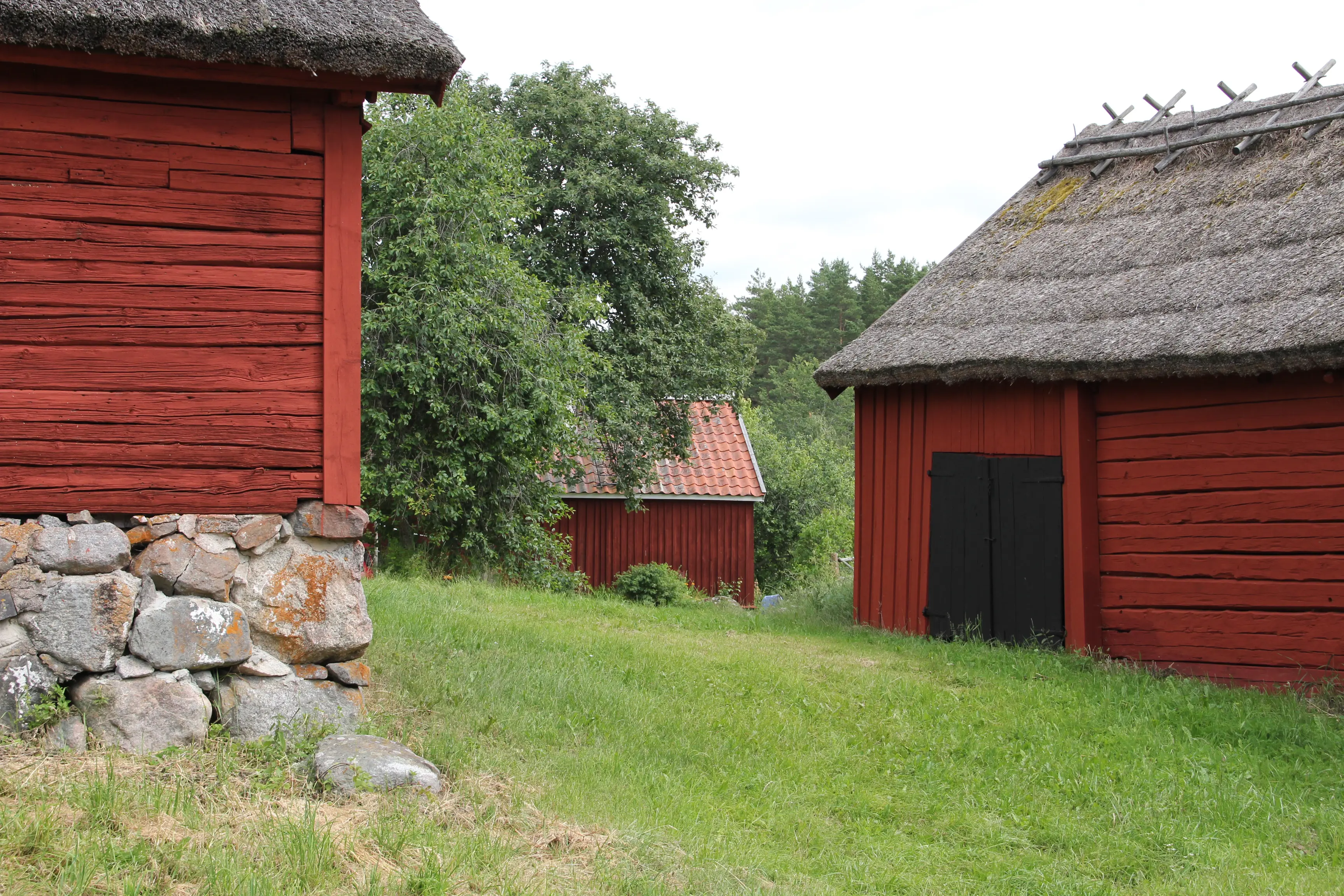 Gräs-plan mellan röd-målade byggnader i Viby by