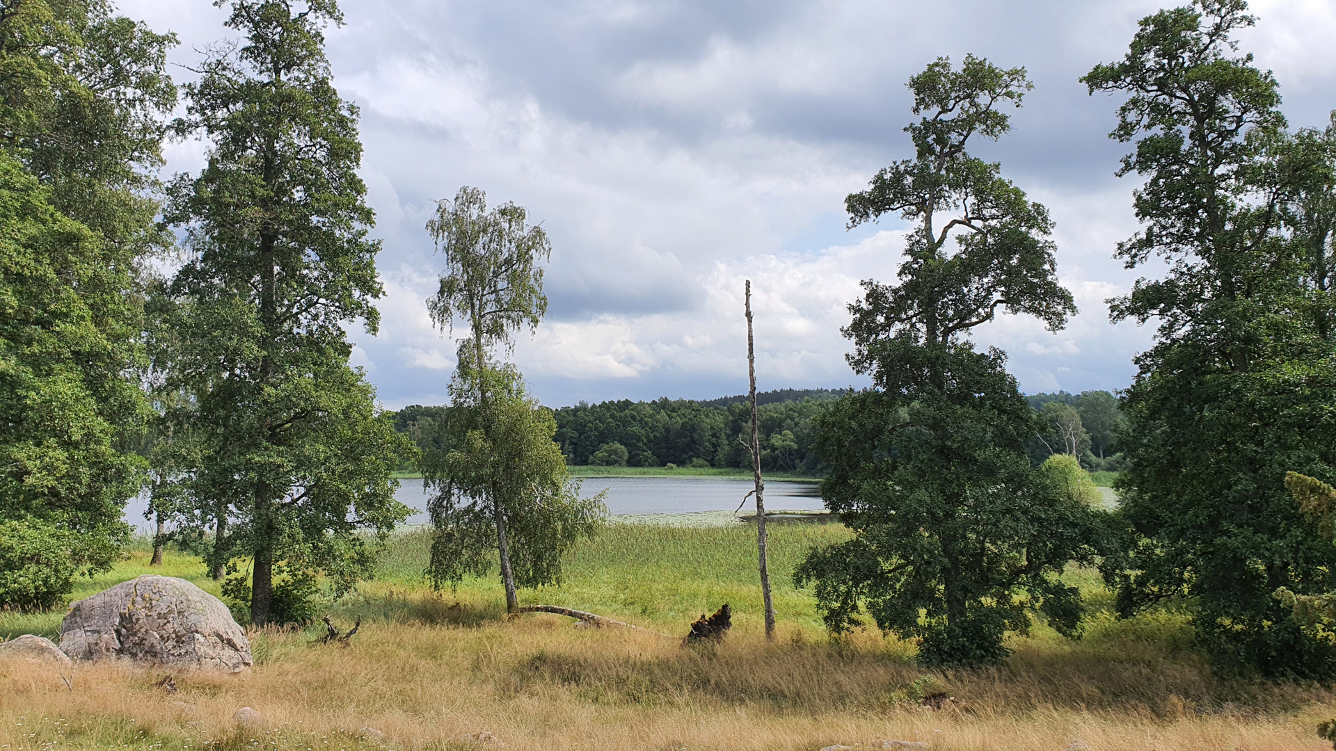 Vädersholm. Utsikt mot en sjö med stora vass-ruggar, omgiven av lövskog.