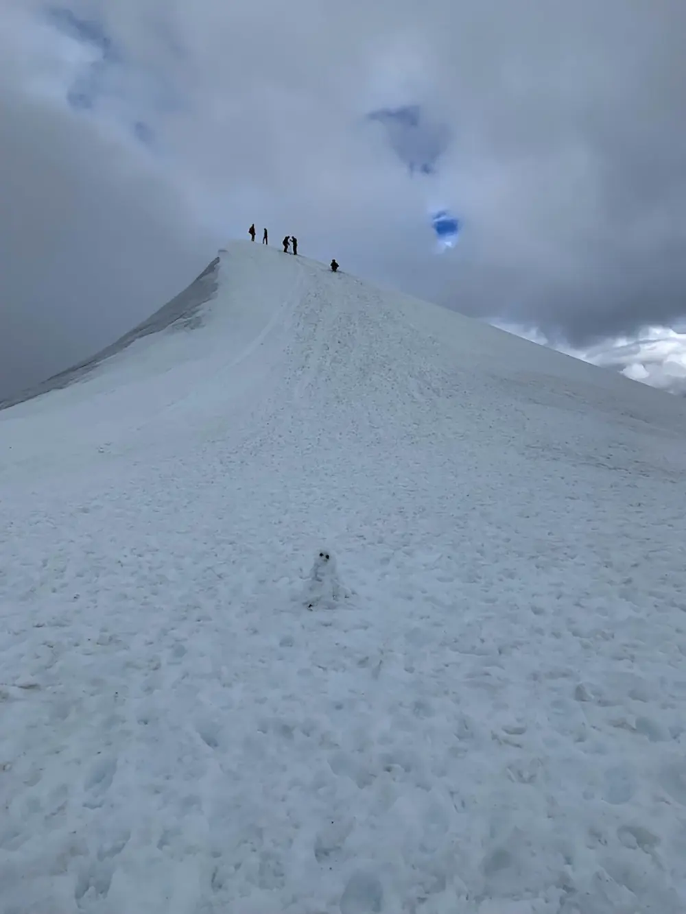 Kebnekaises sydtopp sedd en liten bit nedifrån.