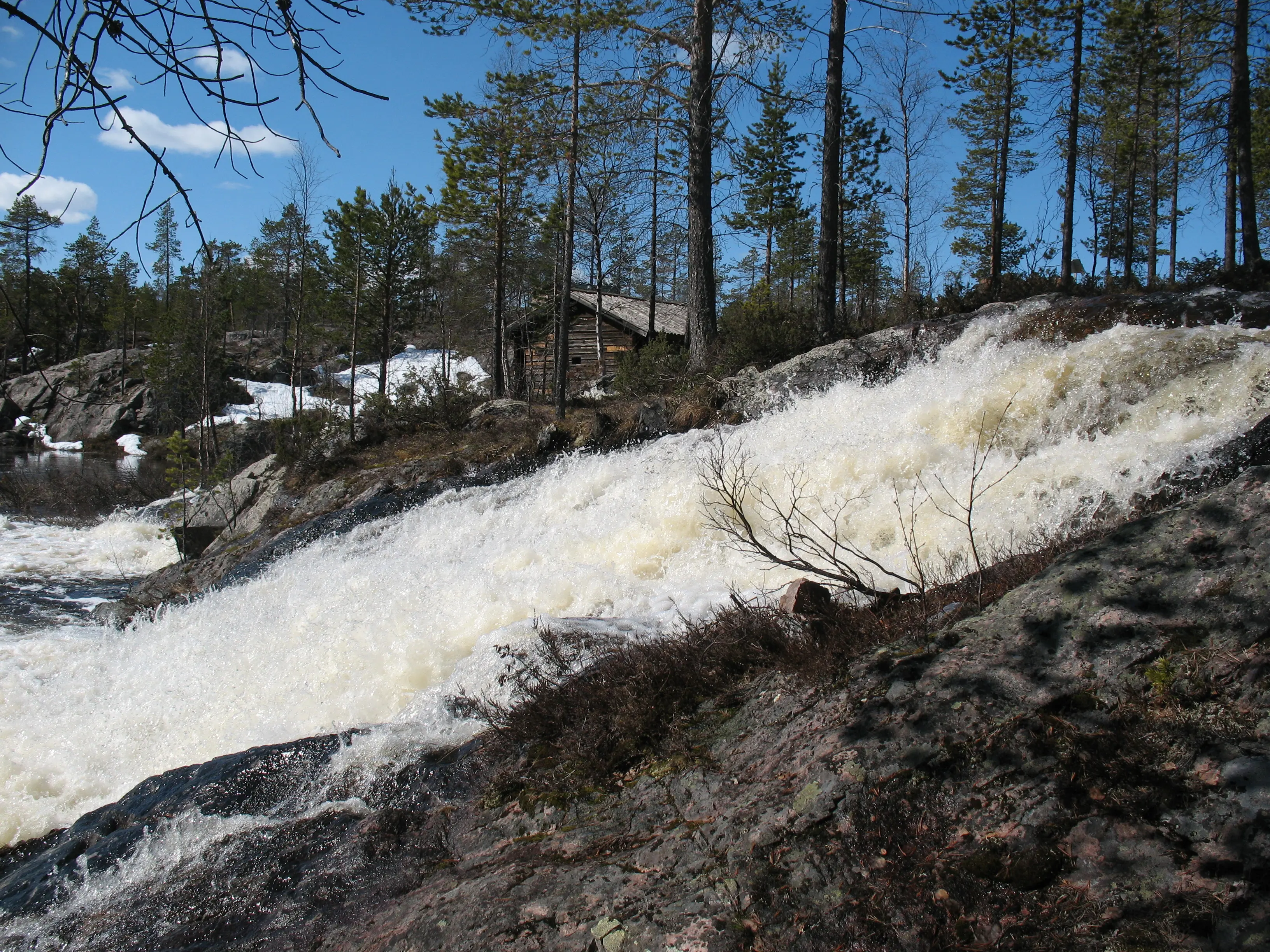 Vårflod vid Granuddens skvaltkvarn. Den vitskummande forsen faller över bergs-sidan. I bakgrunden syns kvarnhuset.
