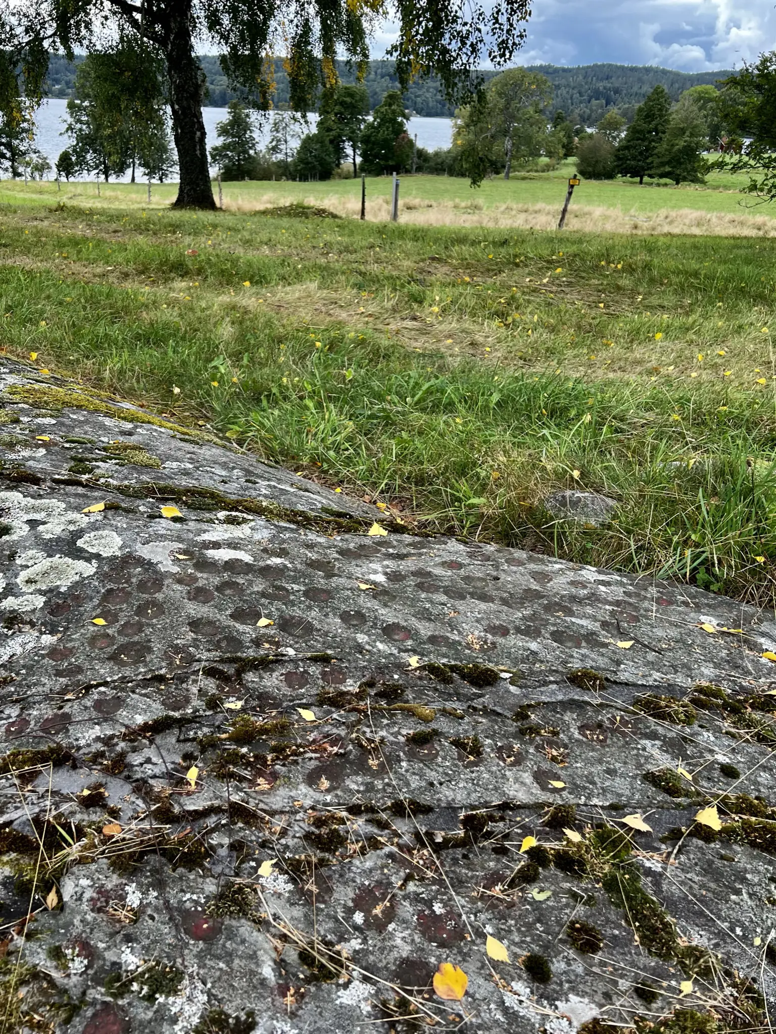 Högsbyn. Stenhäll täckt med skålgropar. Utsikt över en hage ned mot sjön.