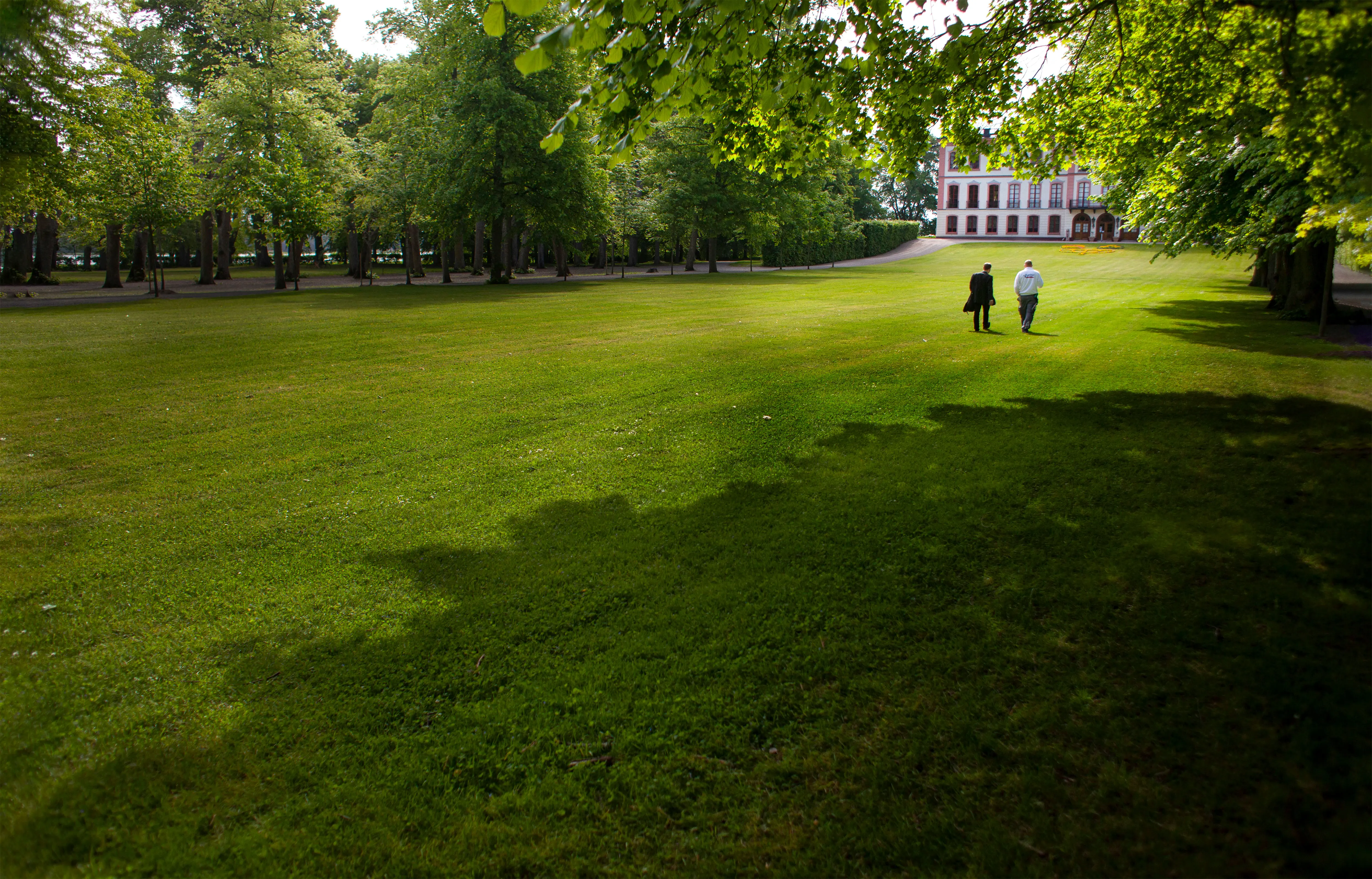 Sommarbild från Tullgarns slottspark