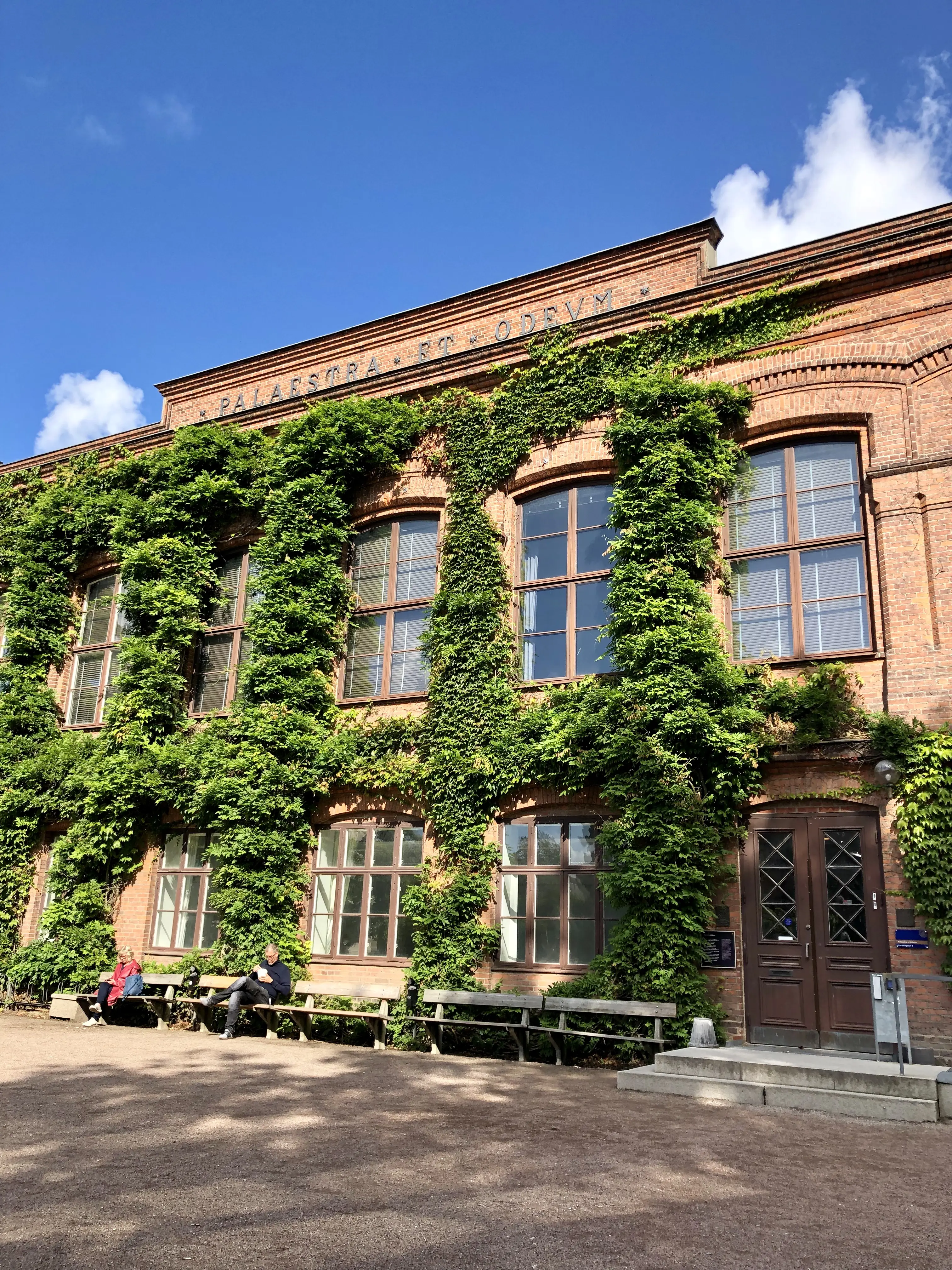 Palaestra et Odeums fasad mot Lundagård. De stora fönstren är inramade av murgröna. Tegelväggen syns knappt under grönskan.